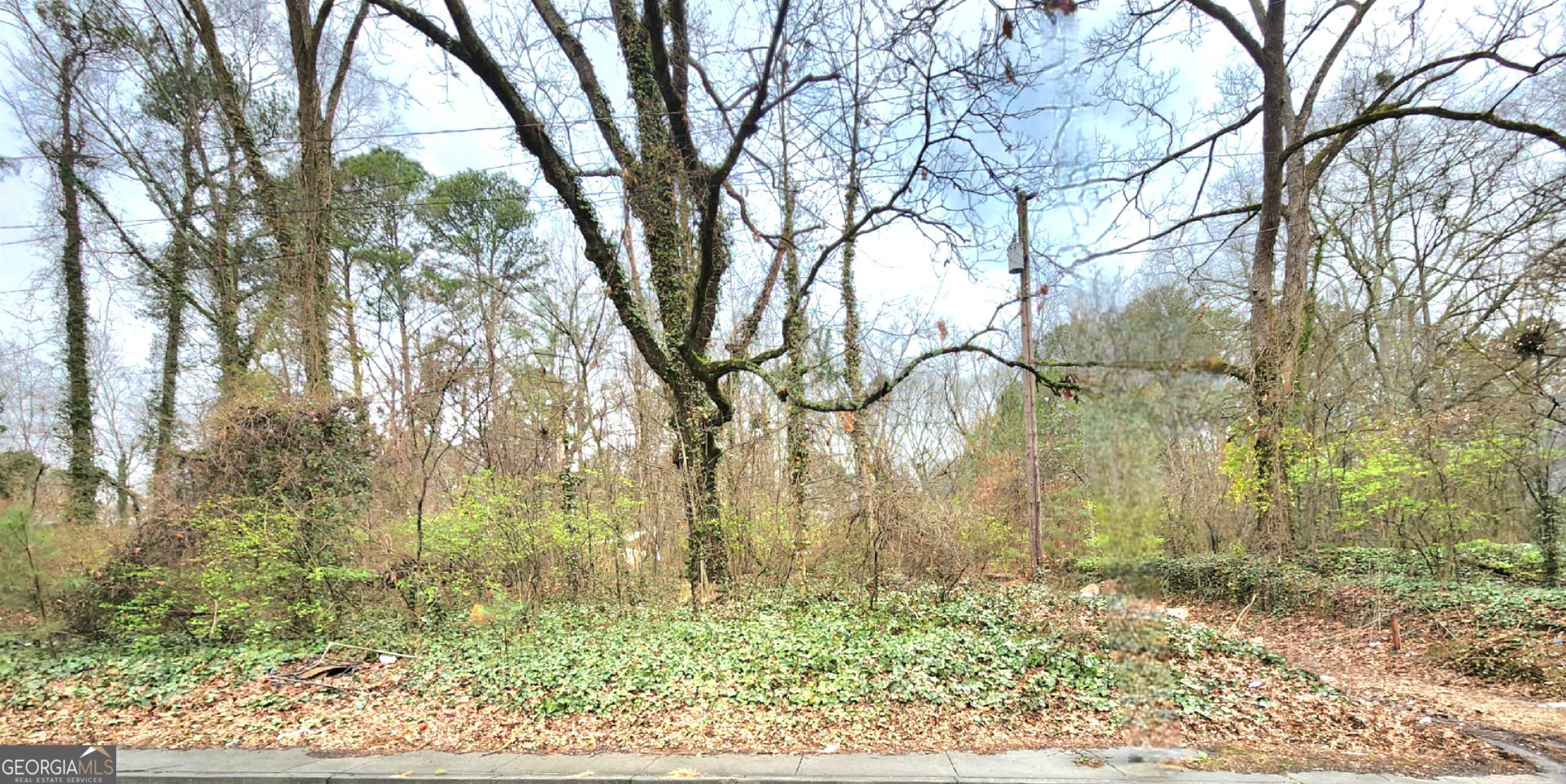 0 Jonesboro Road Atlanta GA 30354