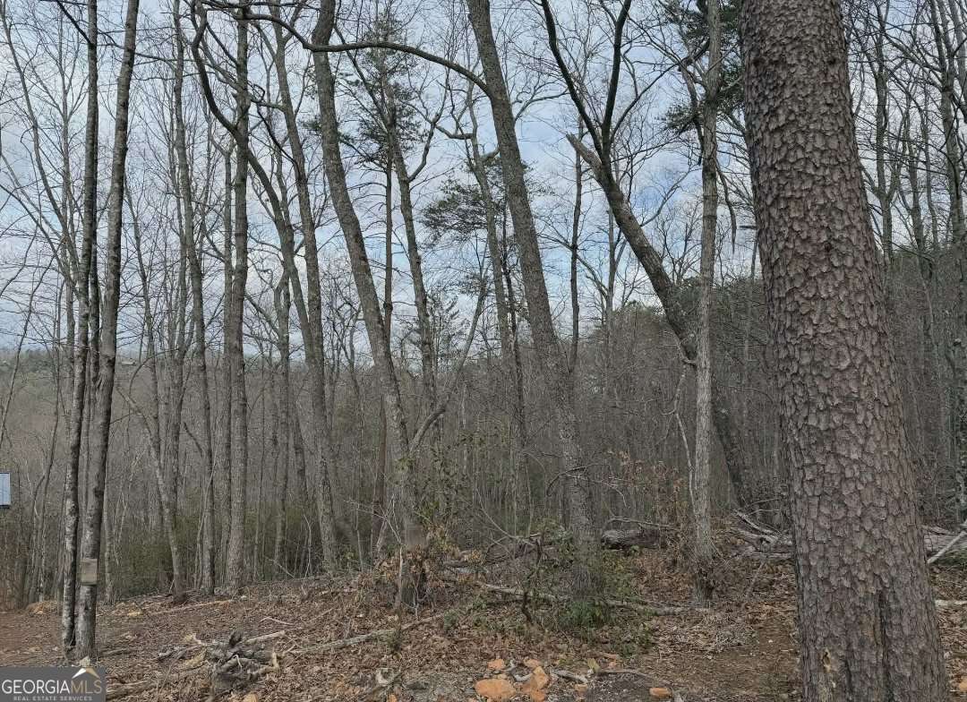 Tract B2 Mountain Ridge Blue Ridge GA 30513
