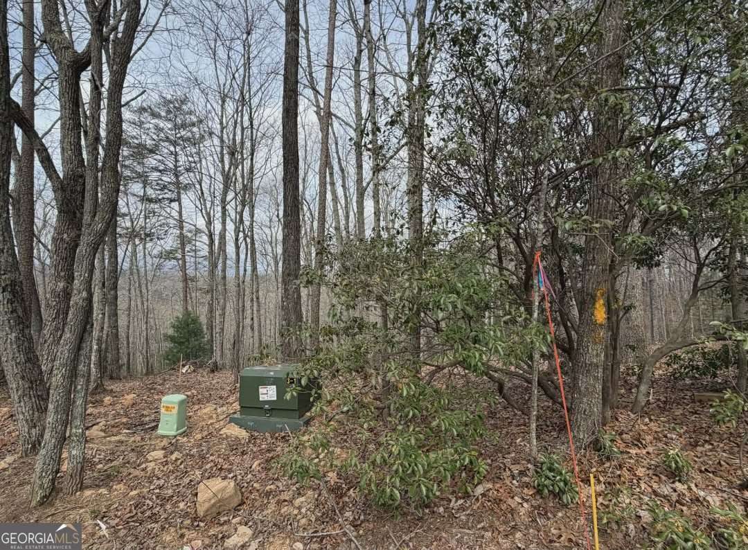 Tract B2 Mountain Ridge Blue Ridge GA 30513