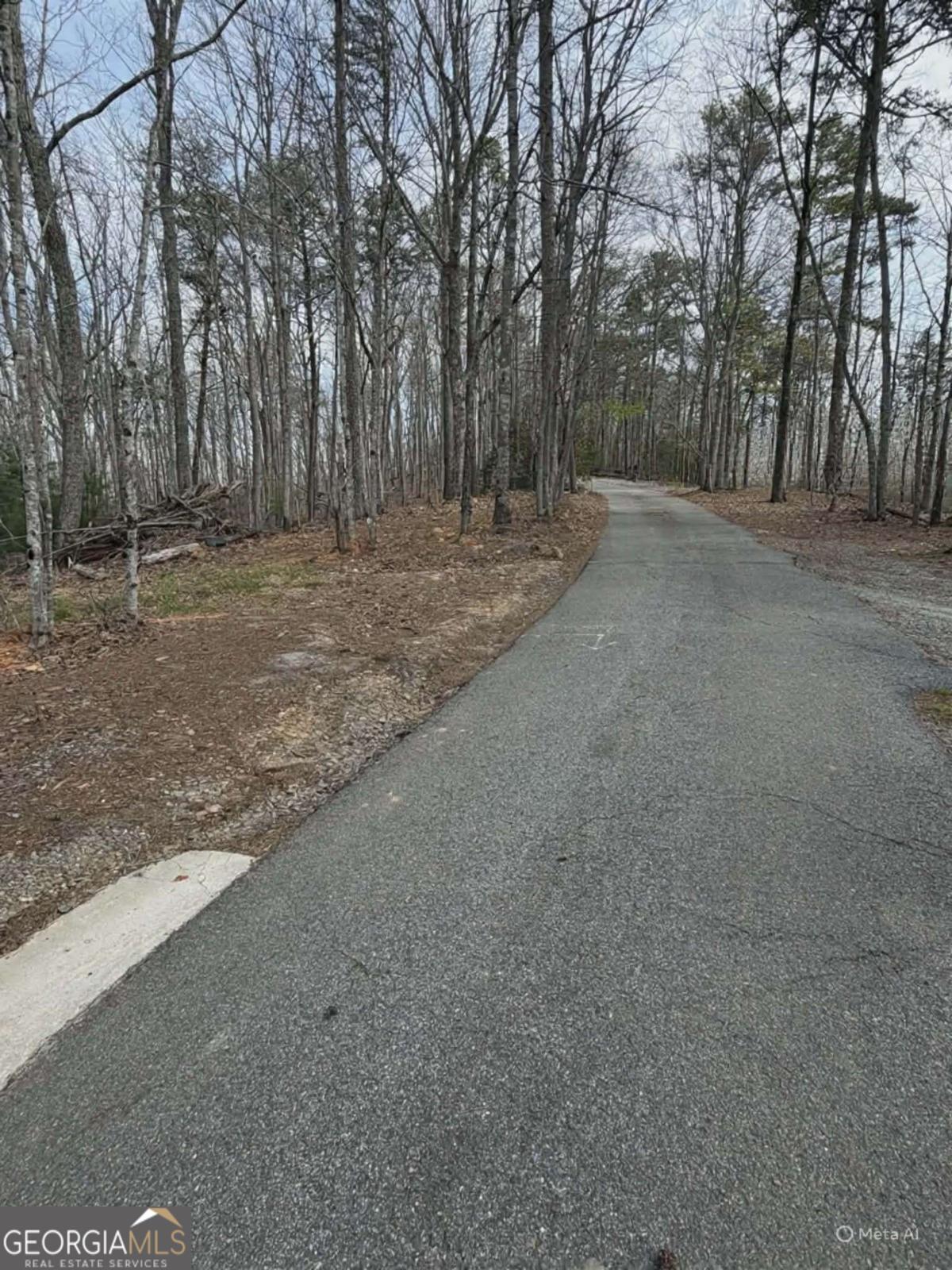 Tract B2 Mountain Ridge Blue Ridge GA 30513
