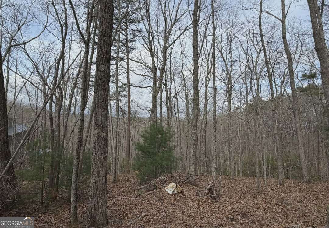 Tract B2 Mountain Ridge Blue Ridge GA 30513
