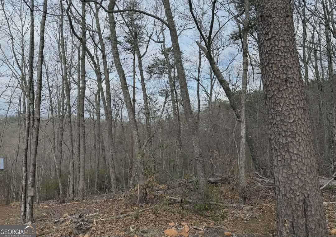 Tract B2 Mountain Ridge Blue Ridge GA 30513