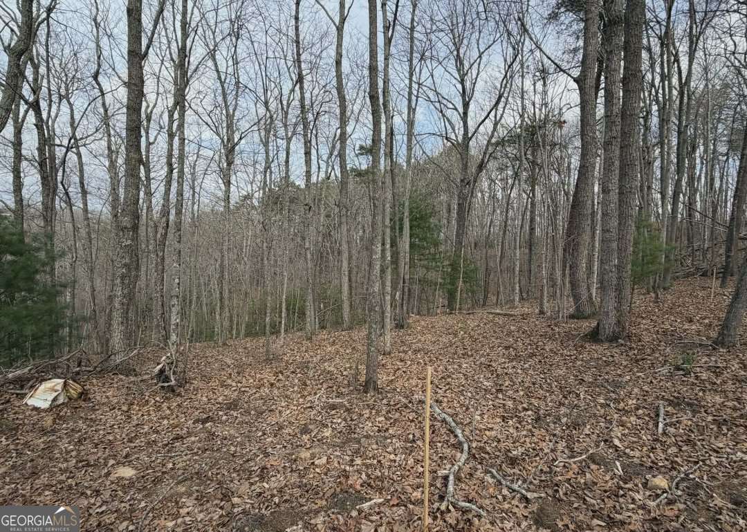Tract B2 Mountain Ridge Blue Ridge GA 30513