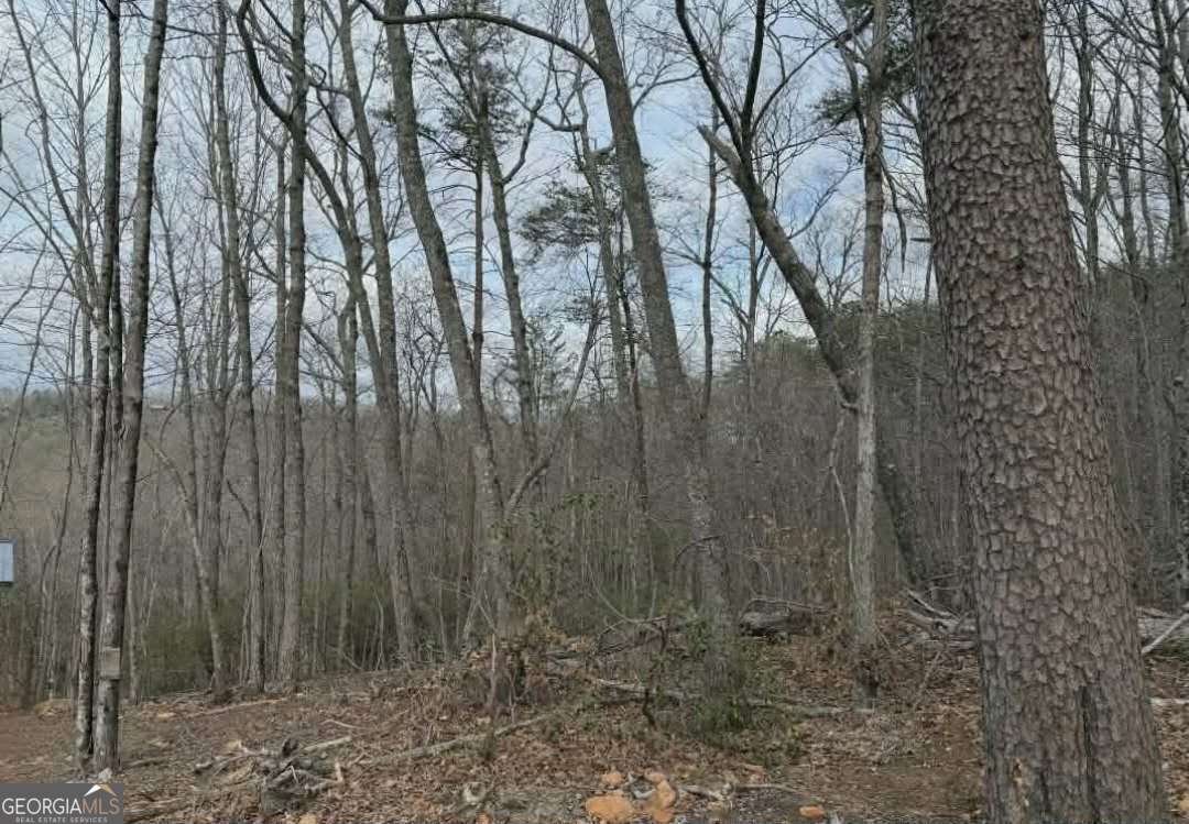 Tract B2 Mountain Ridge Blue Ridge GA 30513