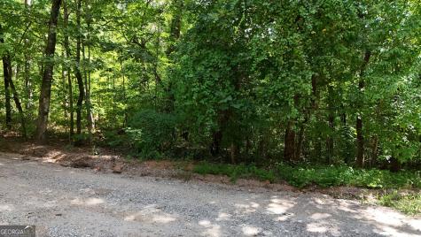 Lot 174 Mountain Crest Drive Clarkesville GA 30523