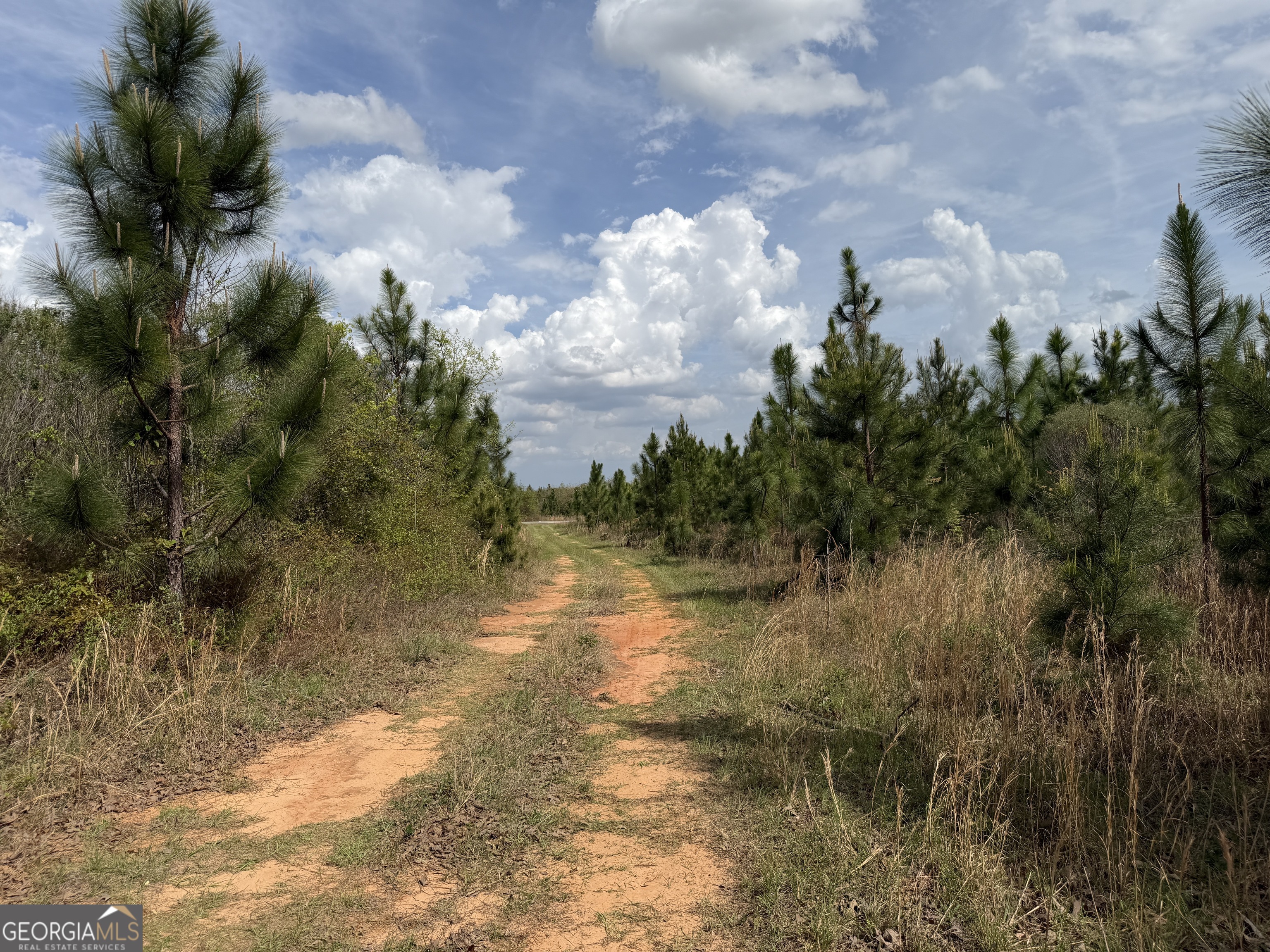 012 Barge Road Lumpkin GA 31815