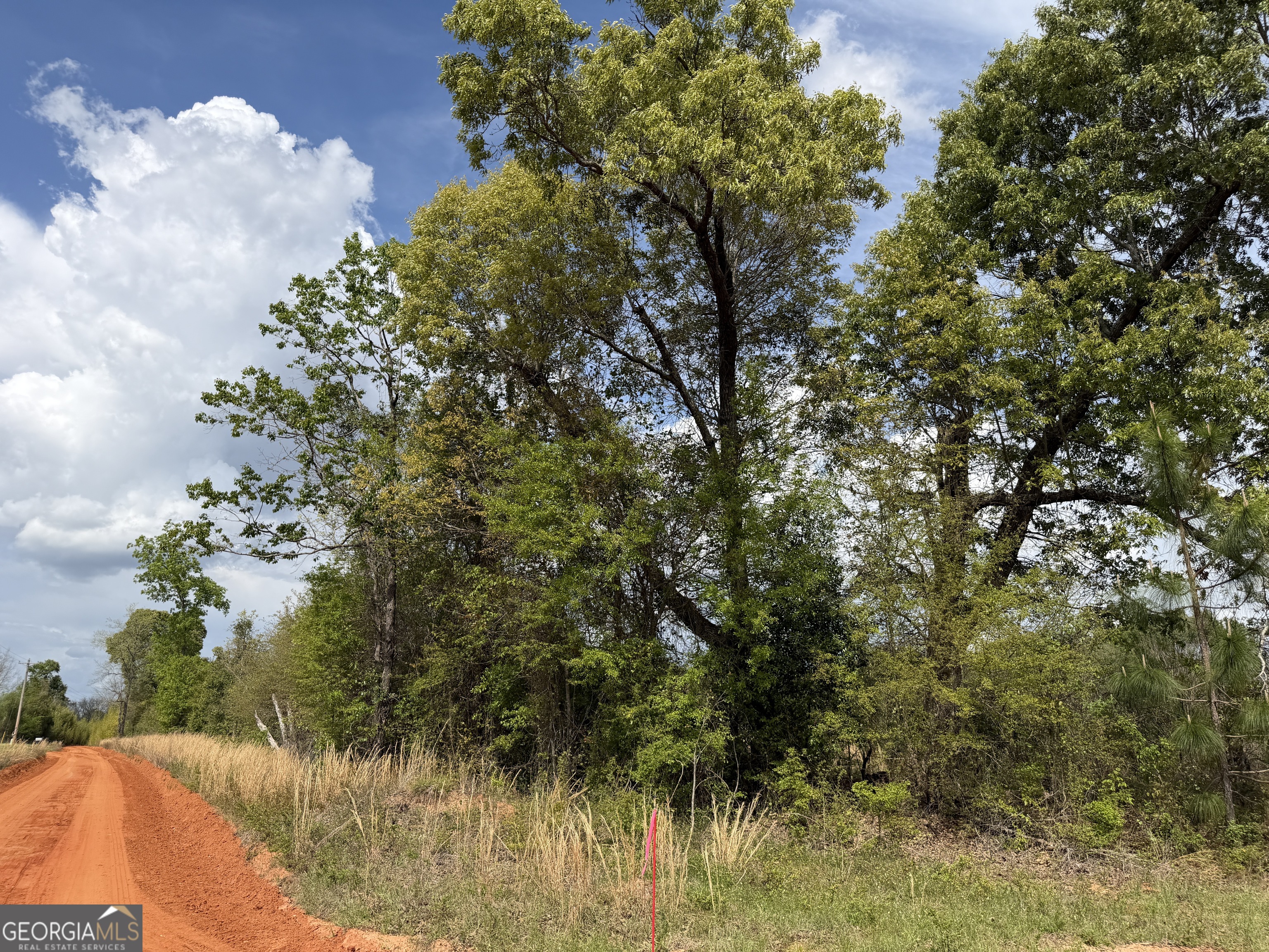 012 Barge Road Lumpkin GA 31815