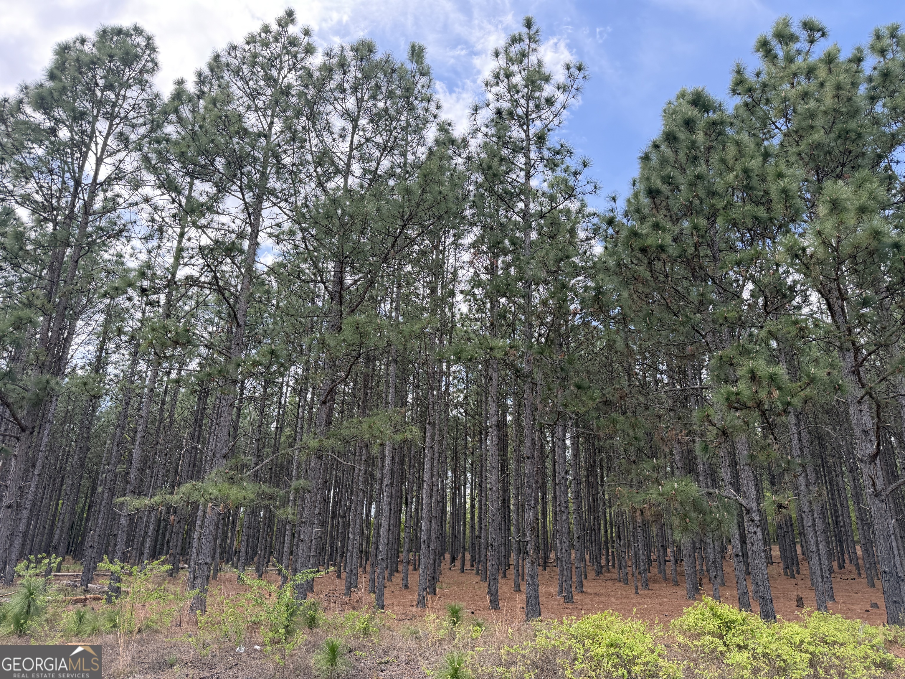 012 Barge Road Lumpkin GA 31815