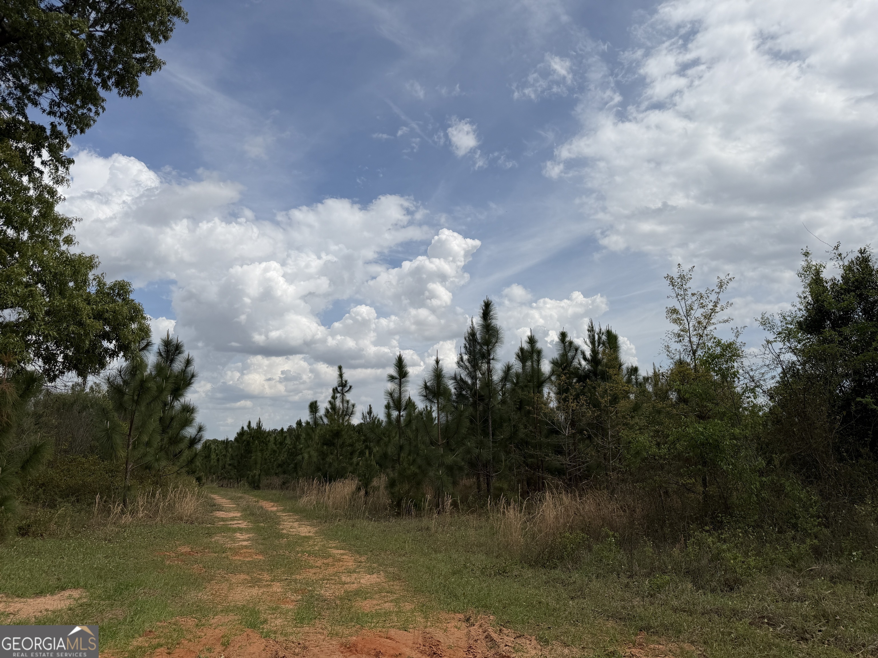 012 Barge Road Lumpkin GA 31815