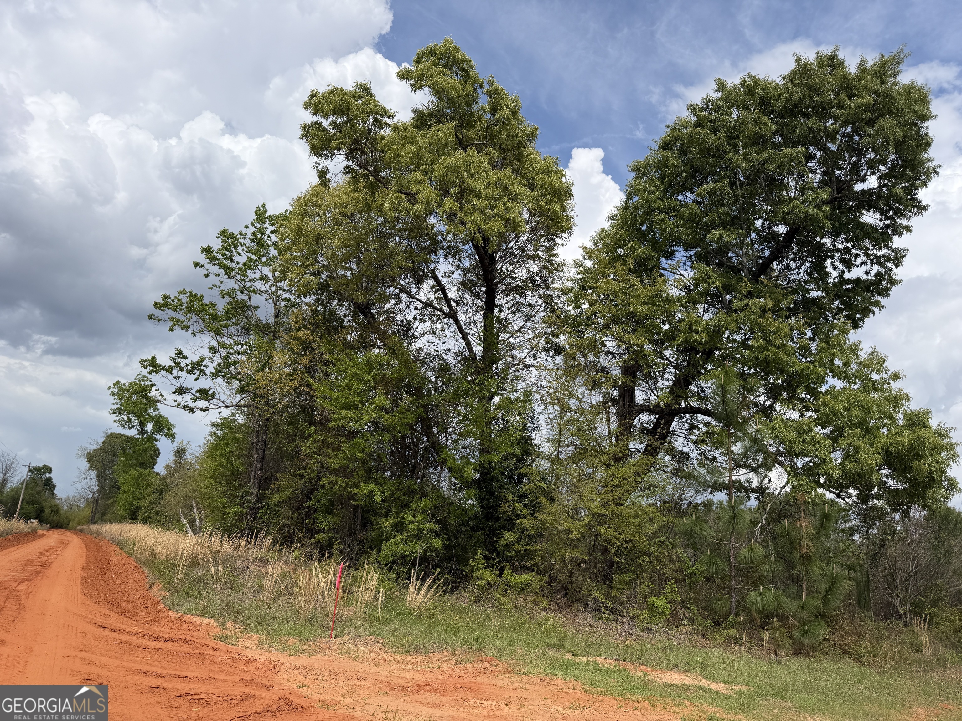 012 Barge Road Lumpkin GA 31815