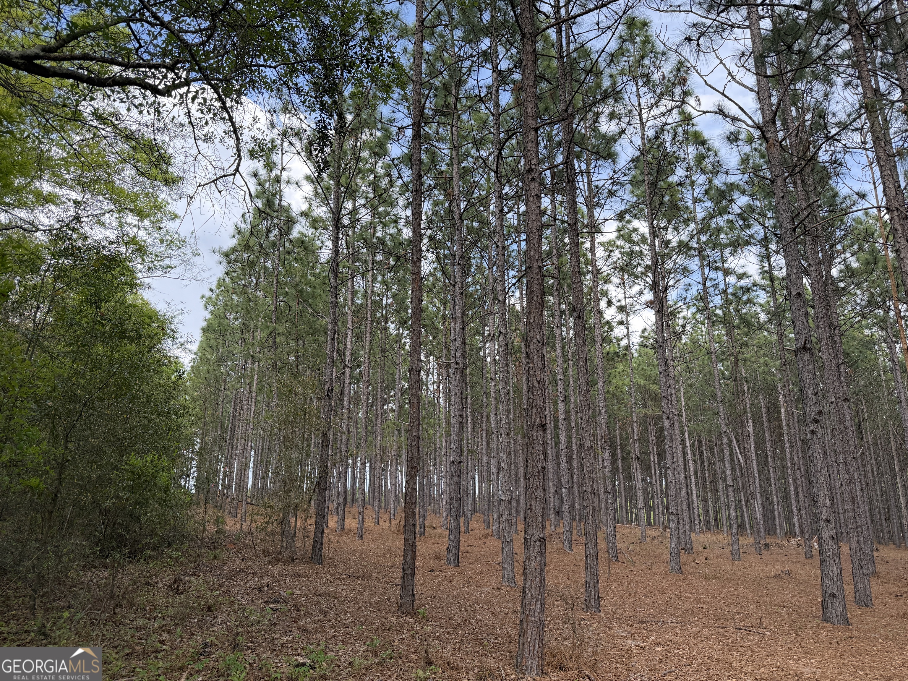 012 Barge Road Lumpkin GA 31815