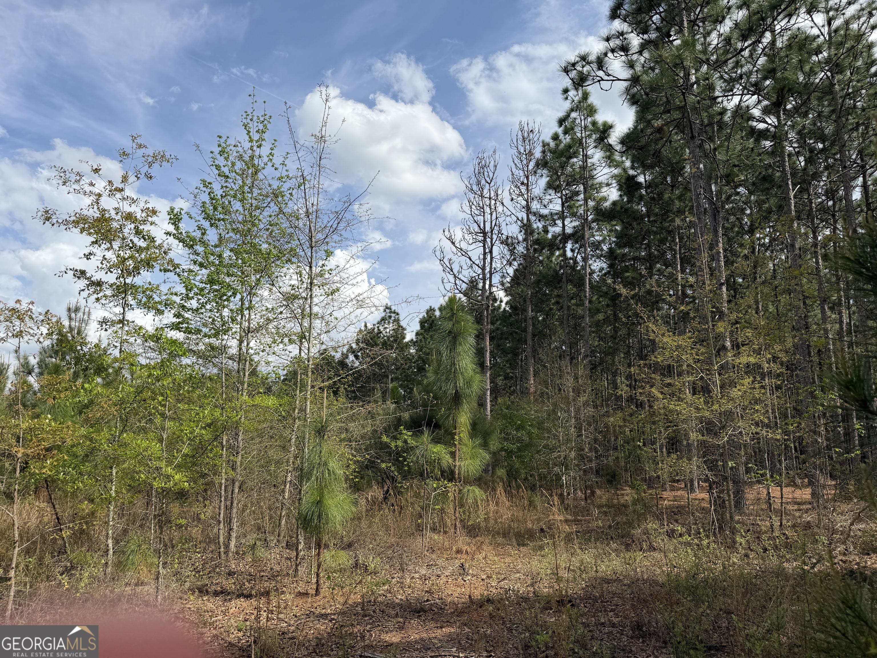 012 Barge Road Lumpkin GA 31815