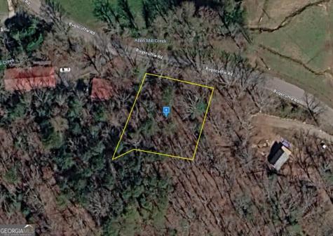861 Bugscuffle Road Hiawassee GA 30546