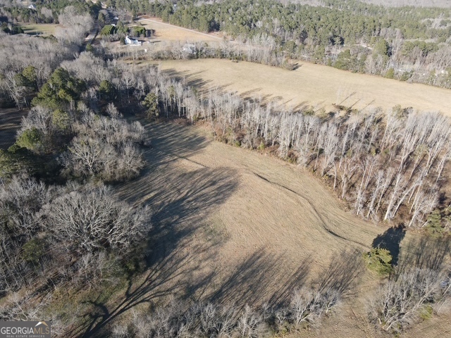 Lot 1 Caldwell Zebulon GA 30295