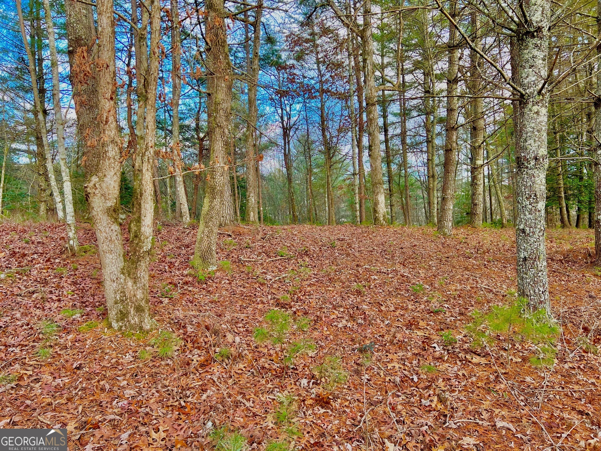 0 Hawks View Morganton GA 30560