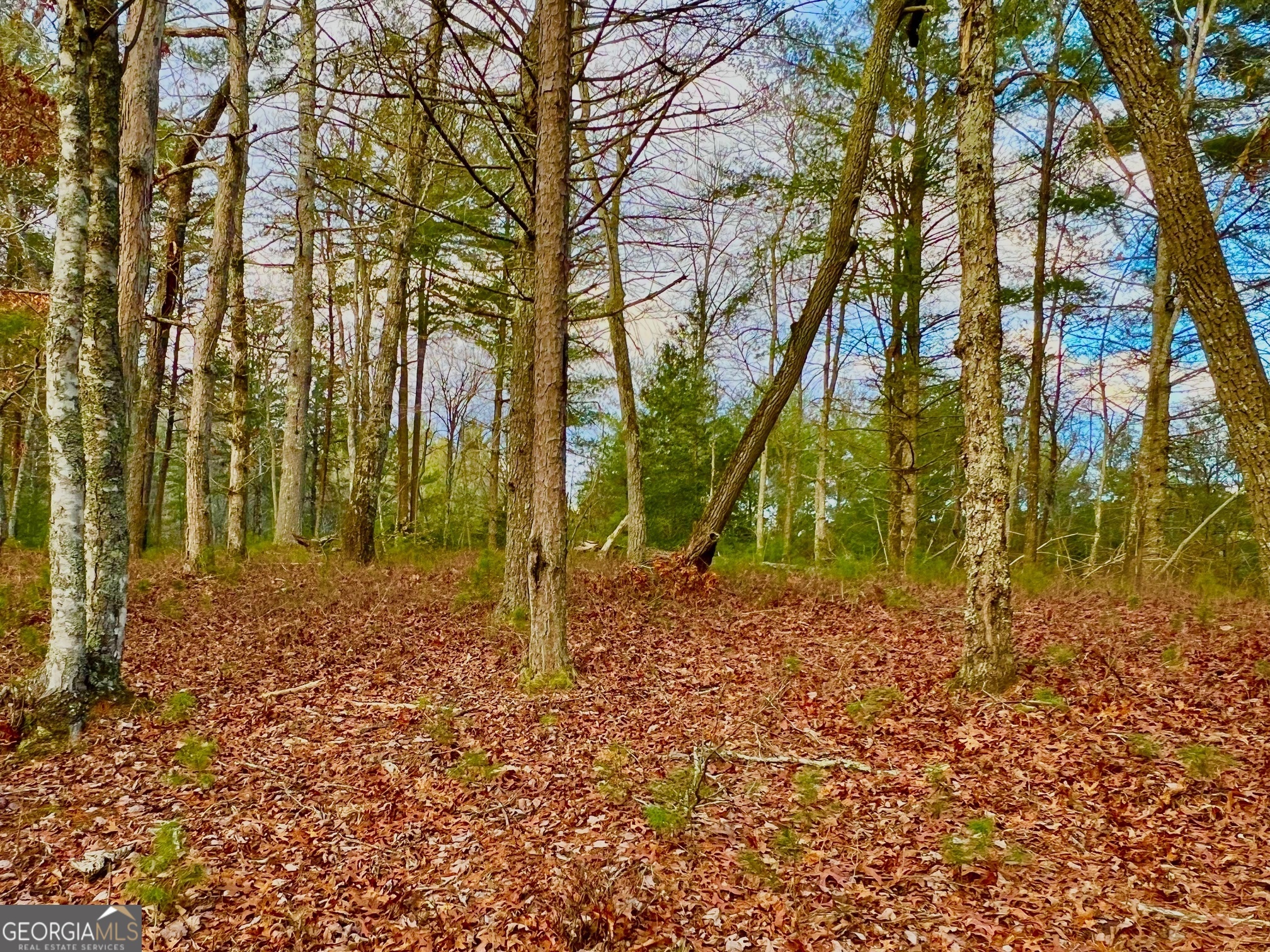 0 Hawks View Morganton GA 30560