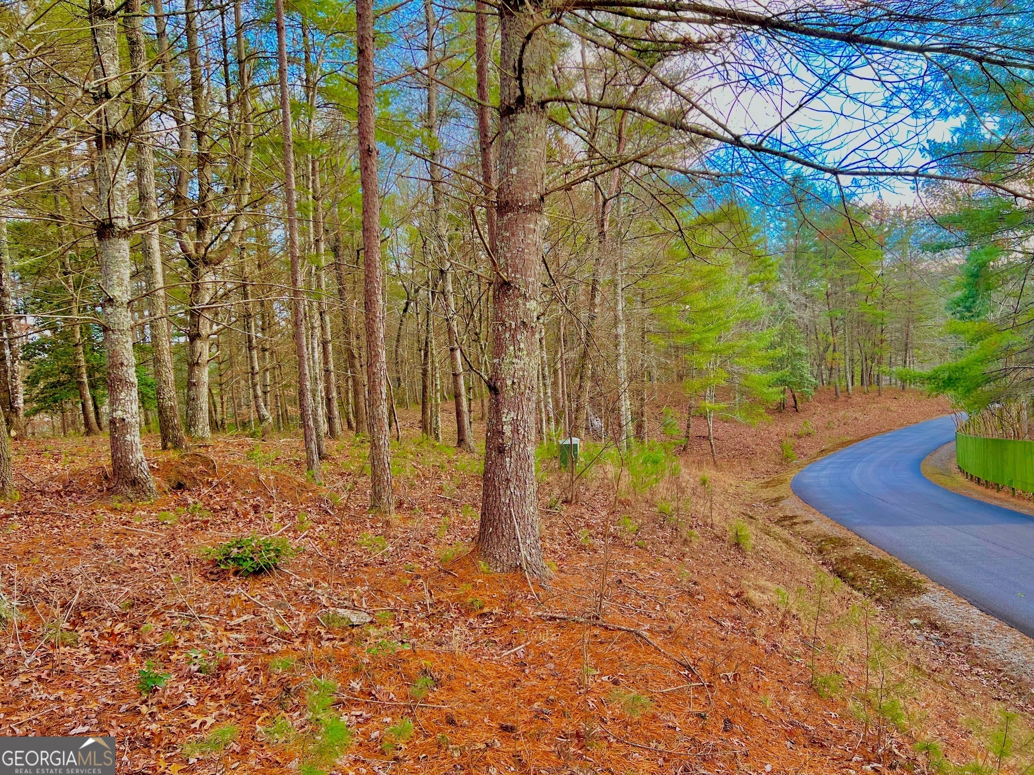 0 Hawks View Morganton GA 30560
