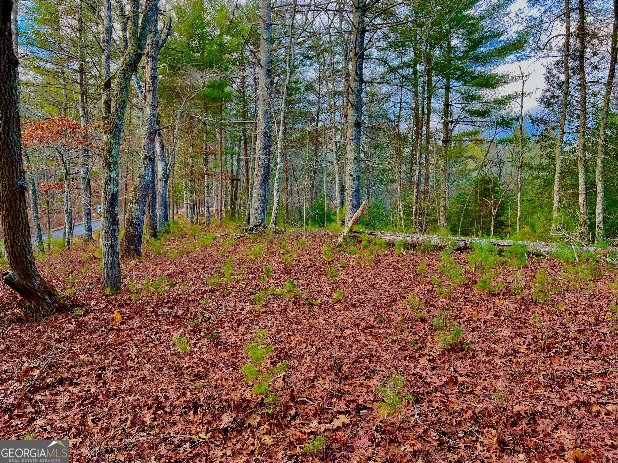 0 Hawks View Morganton GA 30560