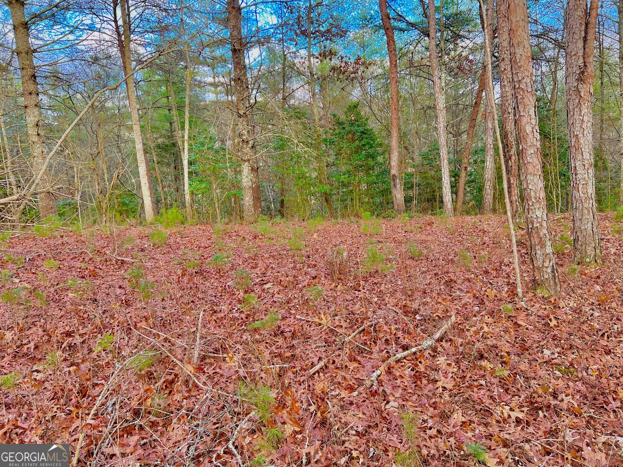 0 Hawks View Morganton GA 30560