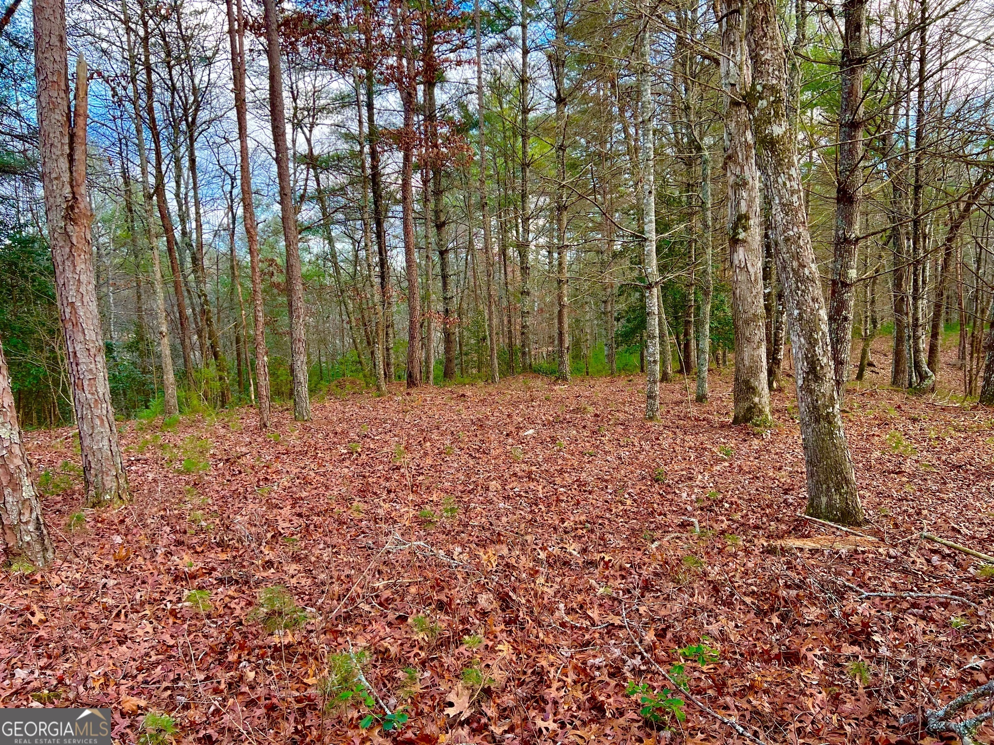 0 Hawks View Morganton GA 30560
