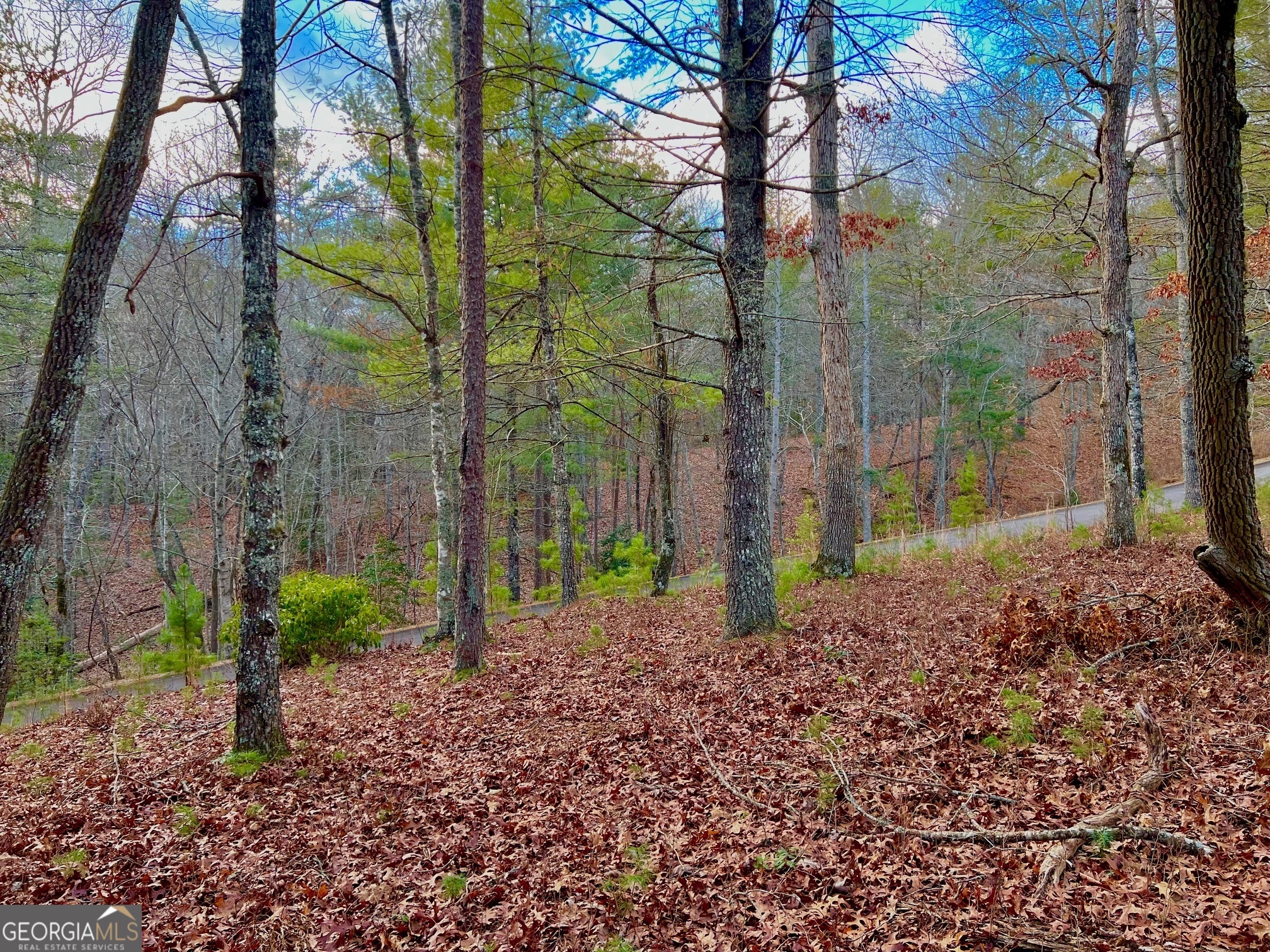 0 Hawks View Morganton GA 30560