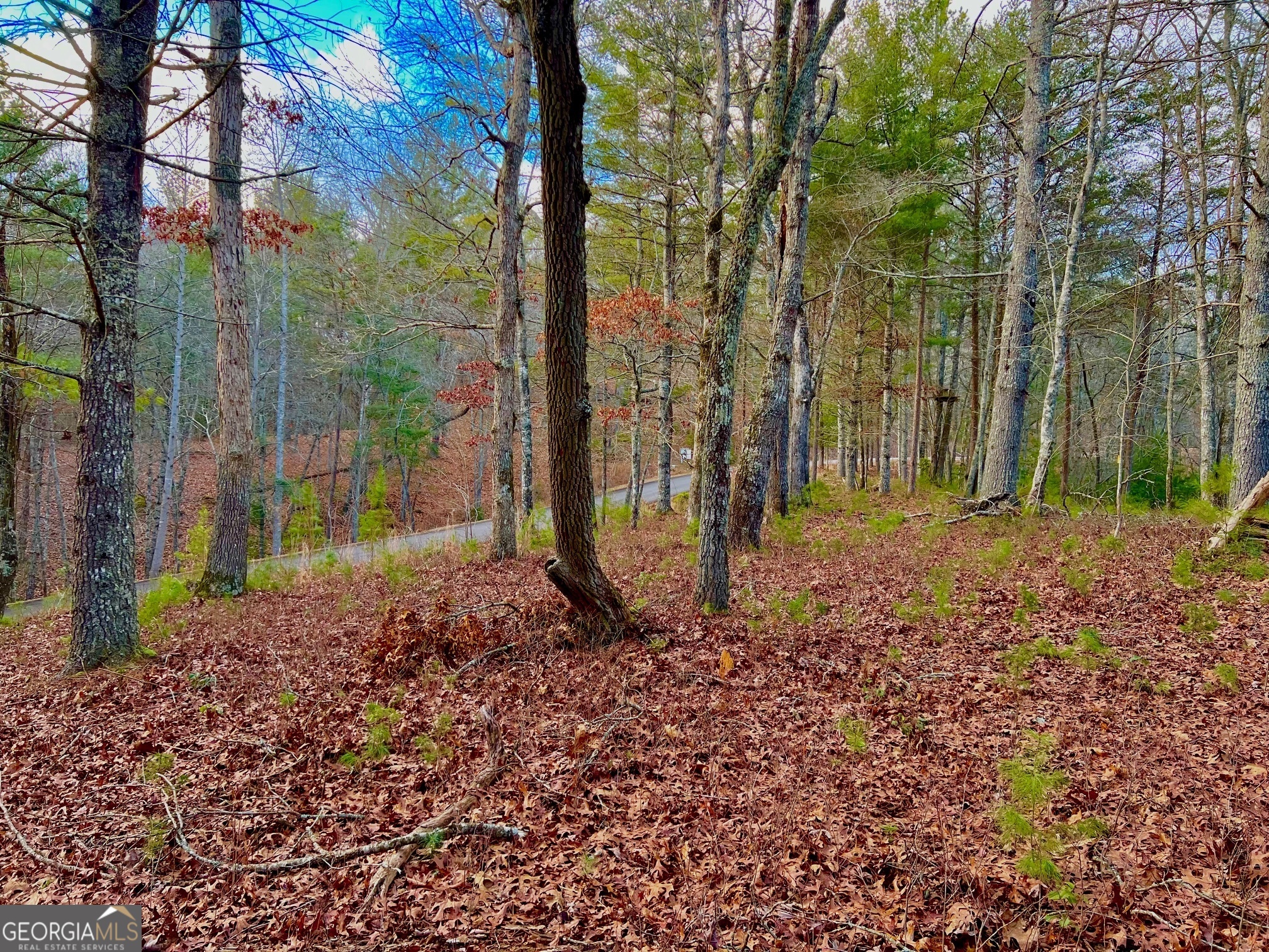 0 Hawks View Morganton GA 30560