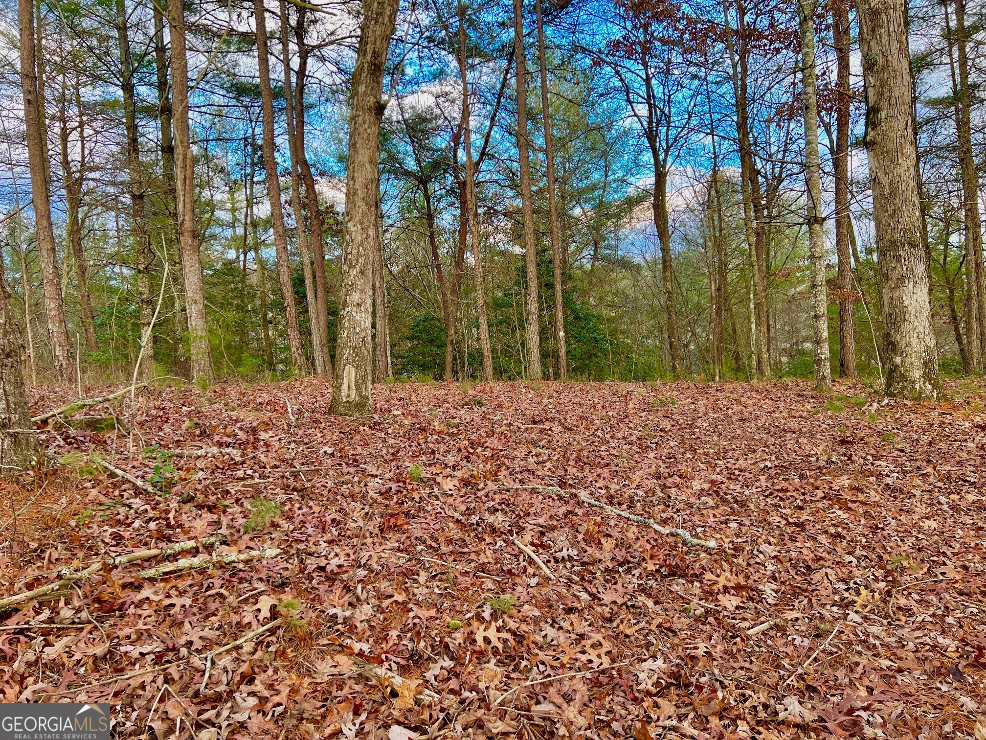 0 Hawks View Morganton GA 30560