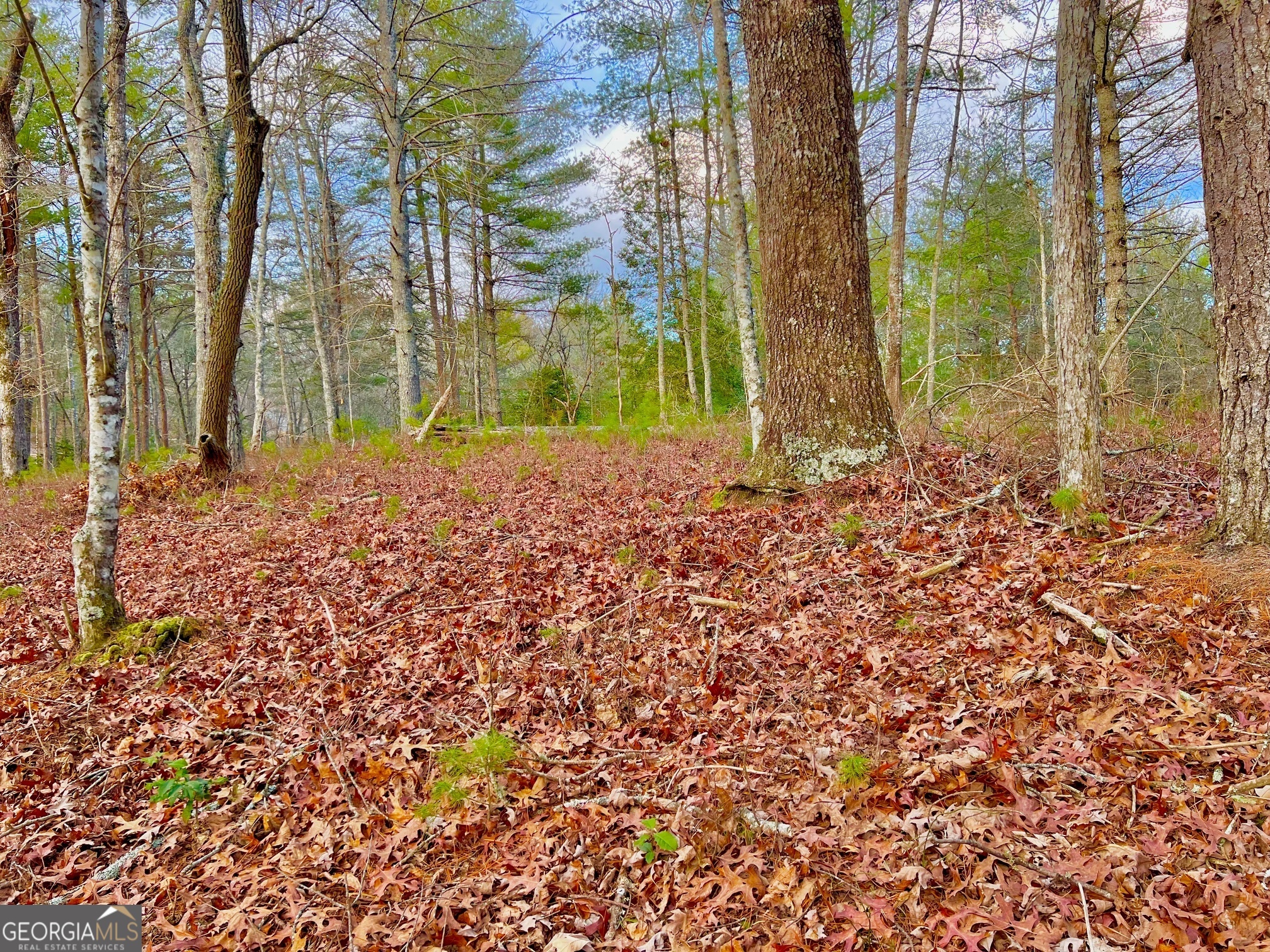 0 Hawks View Morganton GA 30560