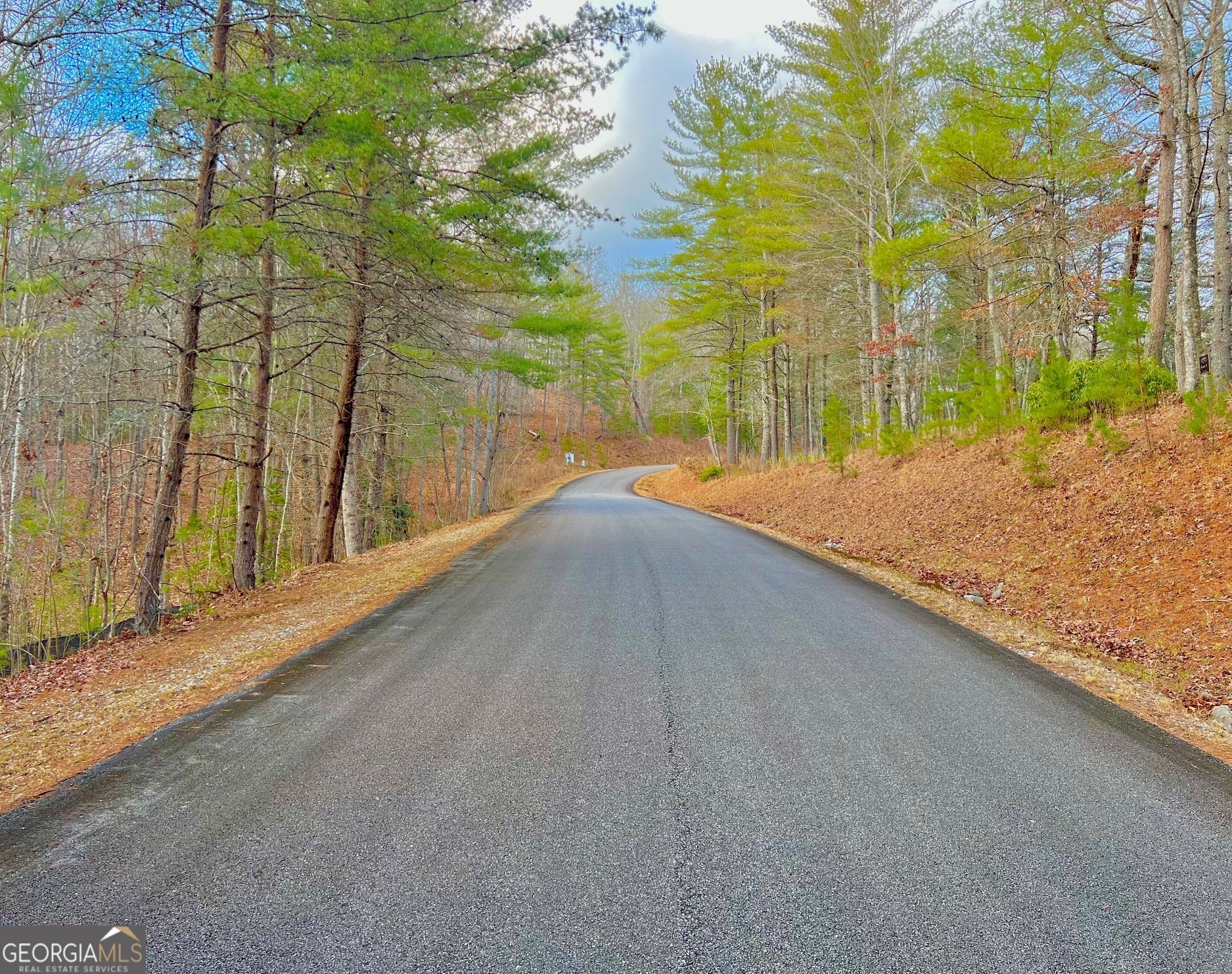 0 Hawks View Morganton GA 30560