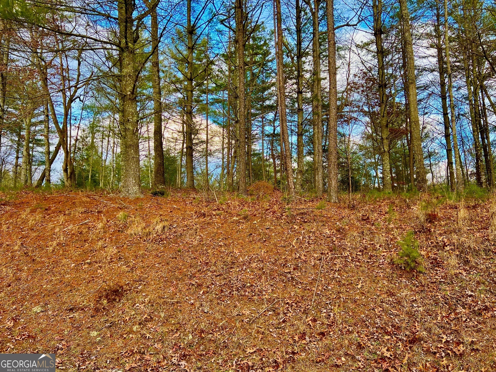 0 Hawks View Morganton GA 30560