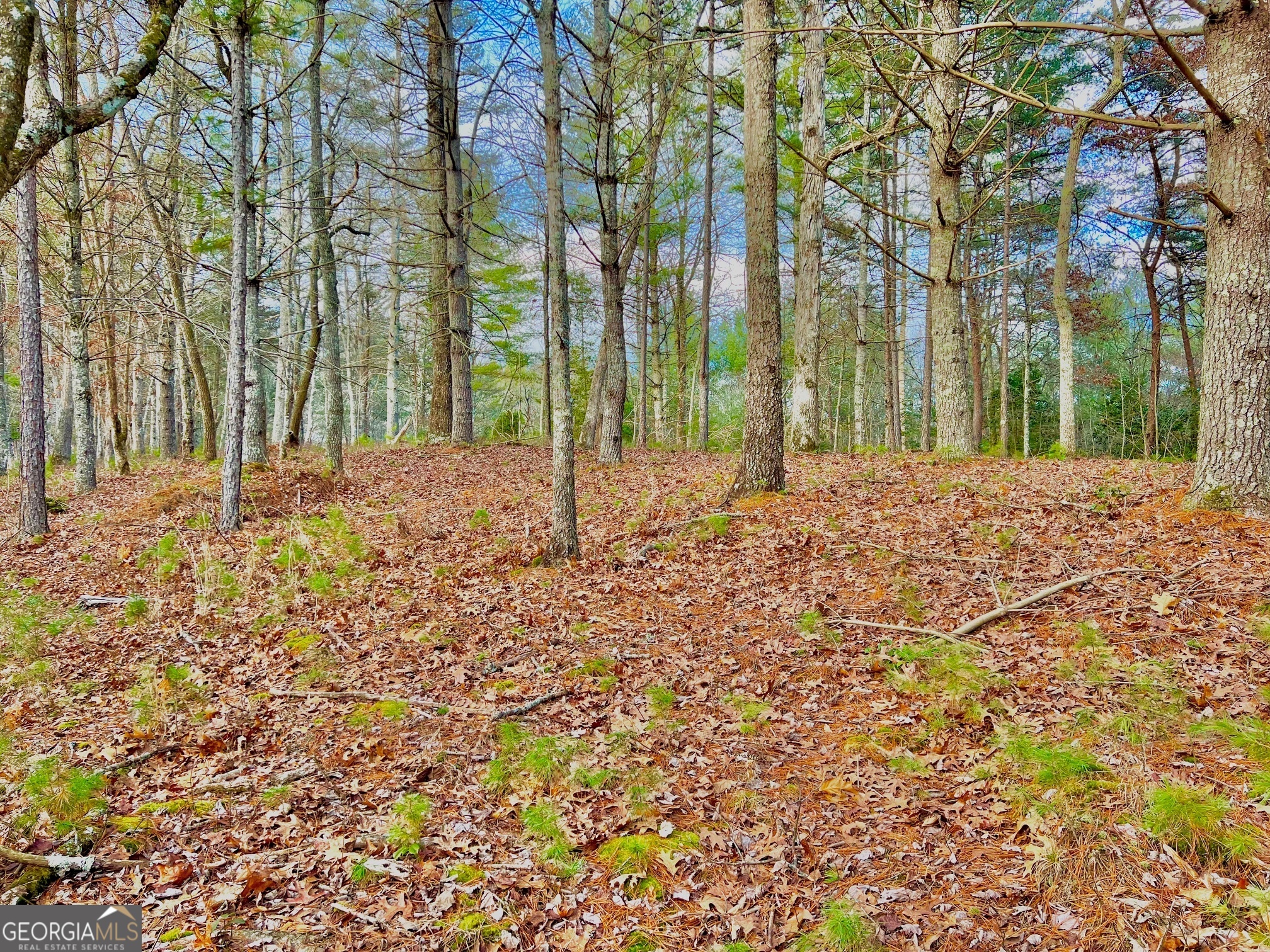 0 Hawks View Morganton GA 30560