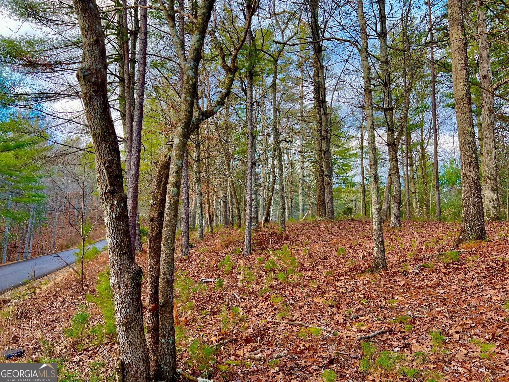 0 Hawks View Morganton GA 30560