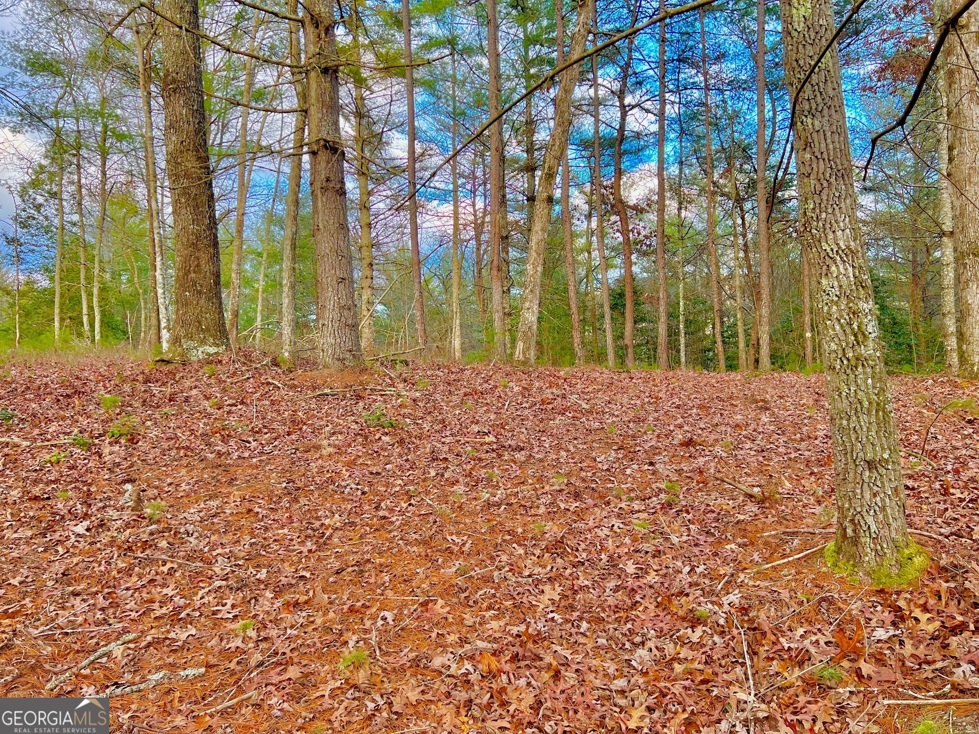 0 Hawks View Morganton GA 30560