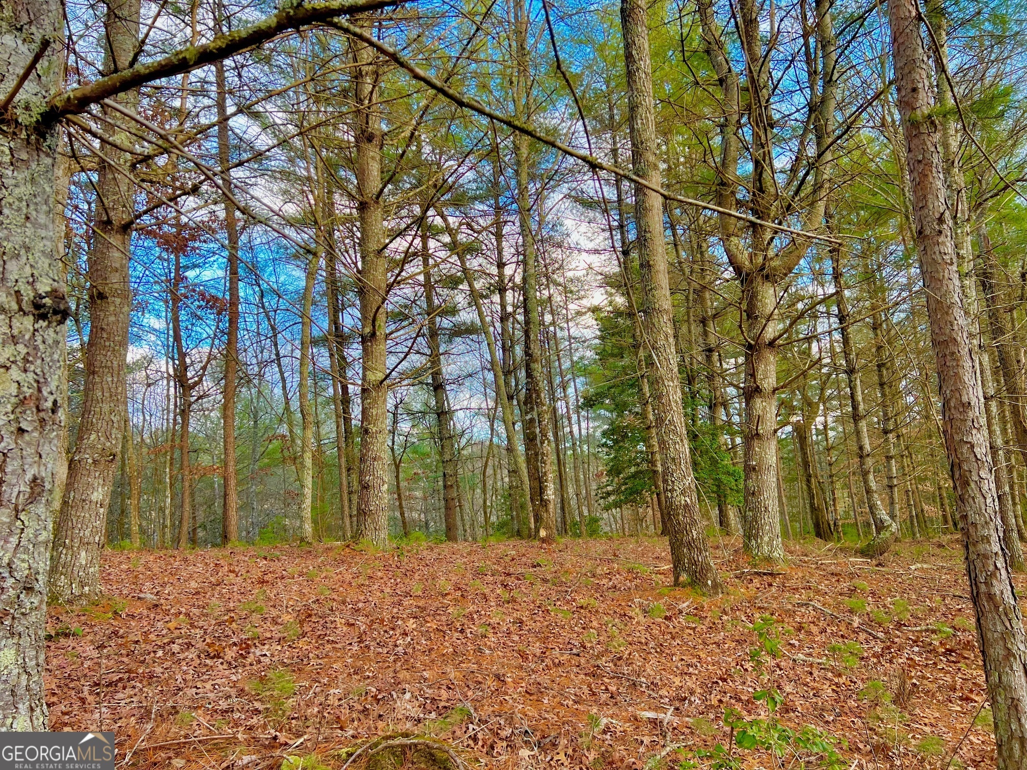 0 Hawks View Morganton GA 30560