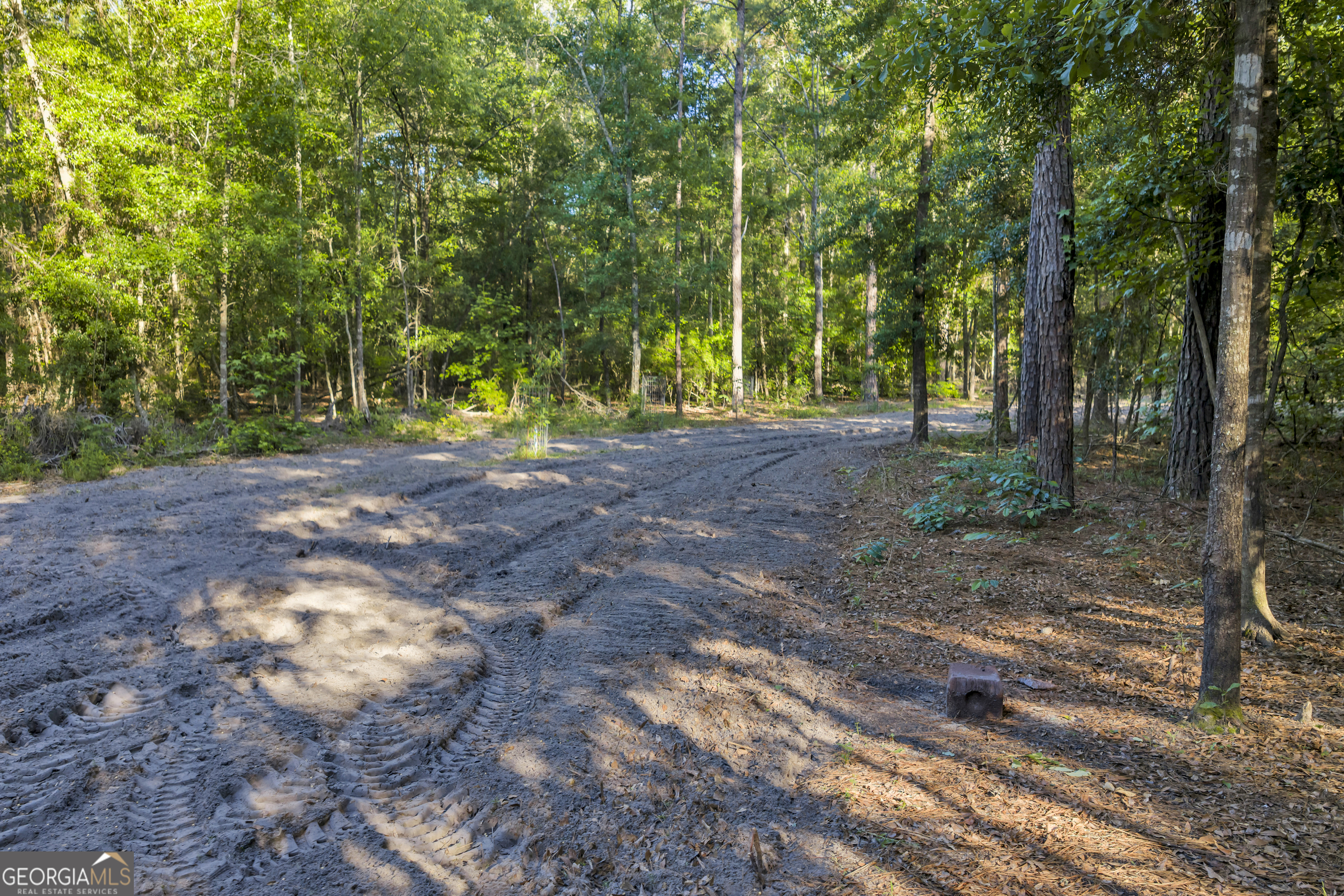 2126 W Oakridge Drive Albany GA 31721