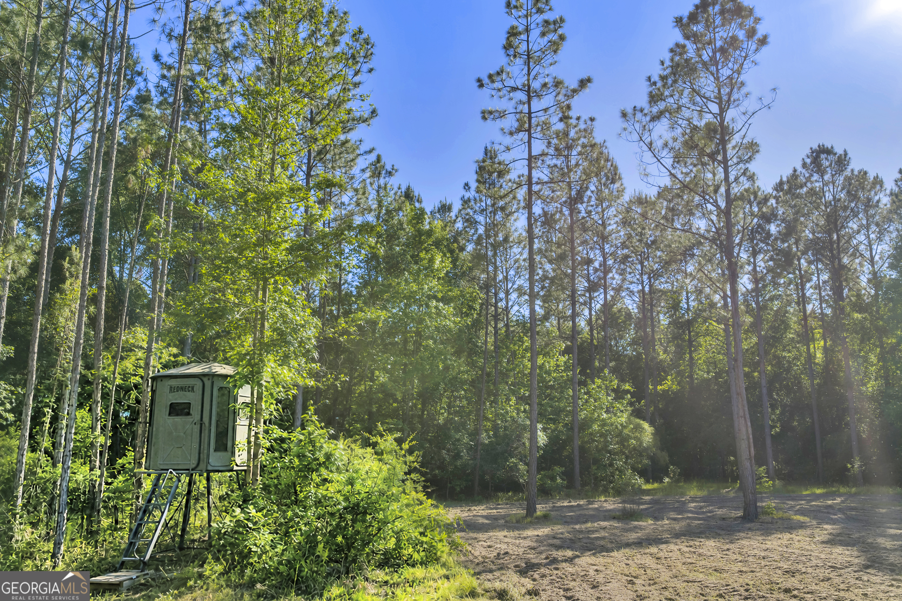 2126 W Oakridge Drive Albany GA 31721