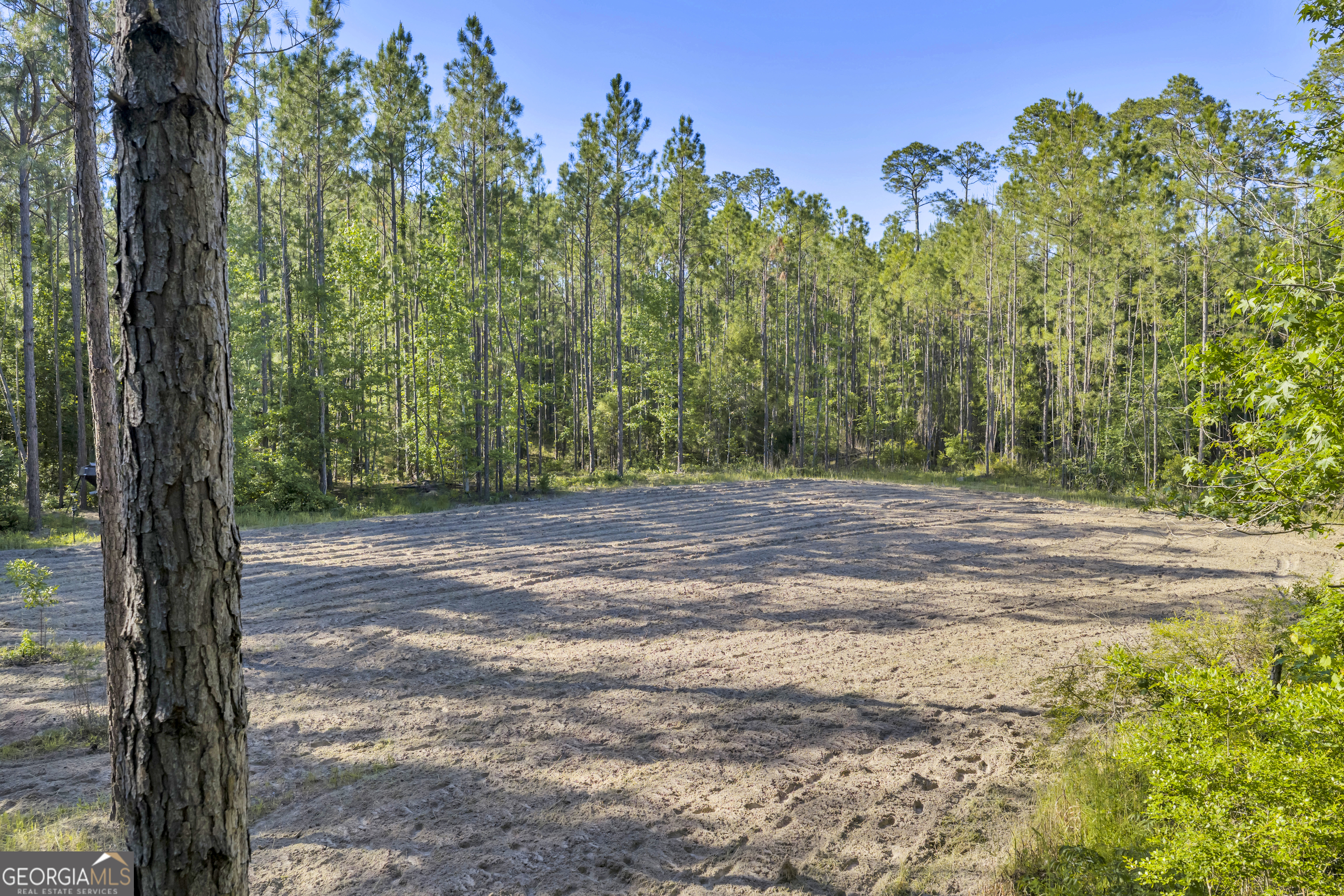 2126 W Oakridge Drive Albany GA 31721