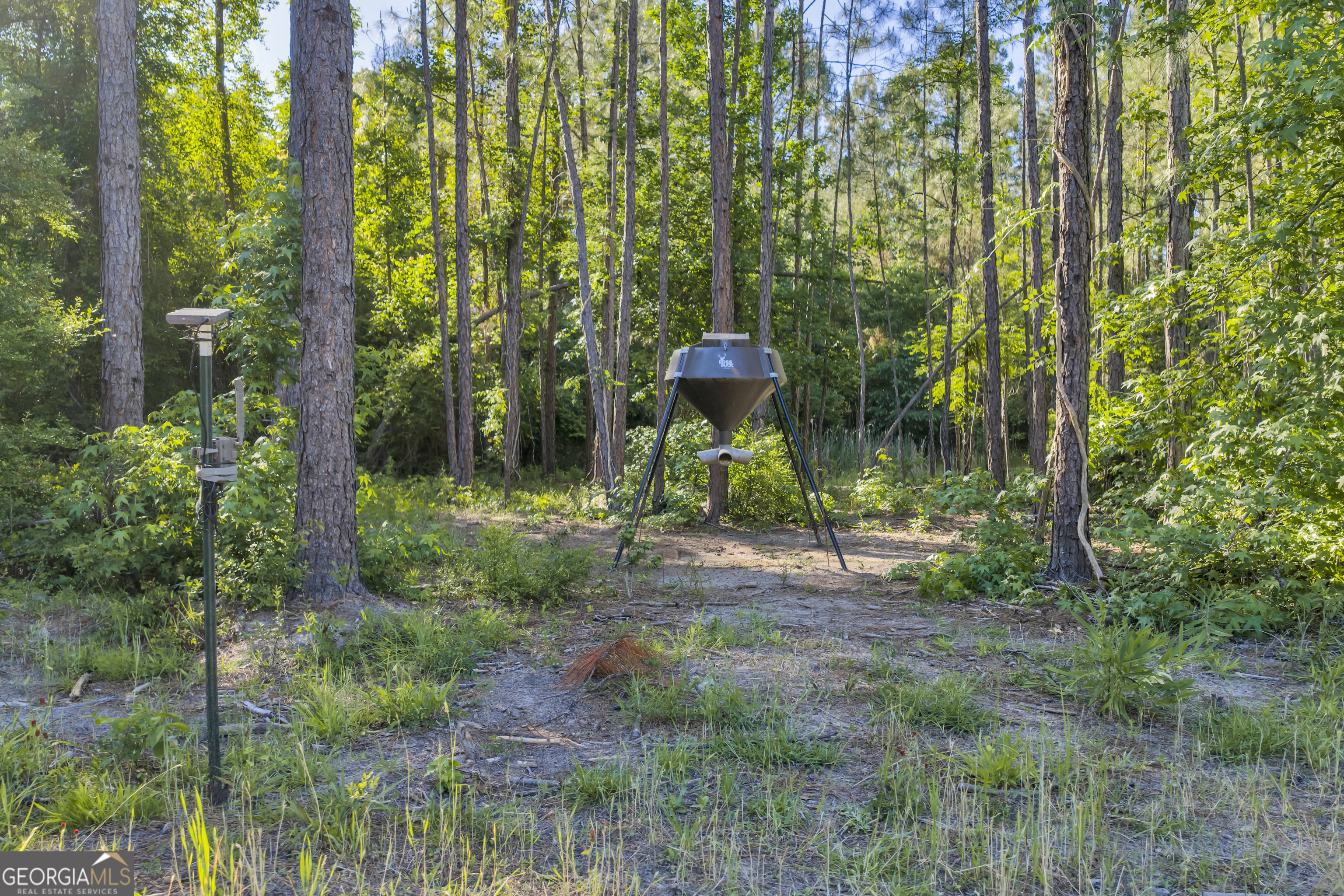2126 W Oakridge Drive Albany GA 31721