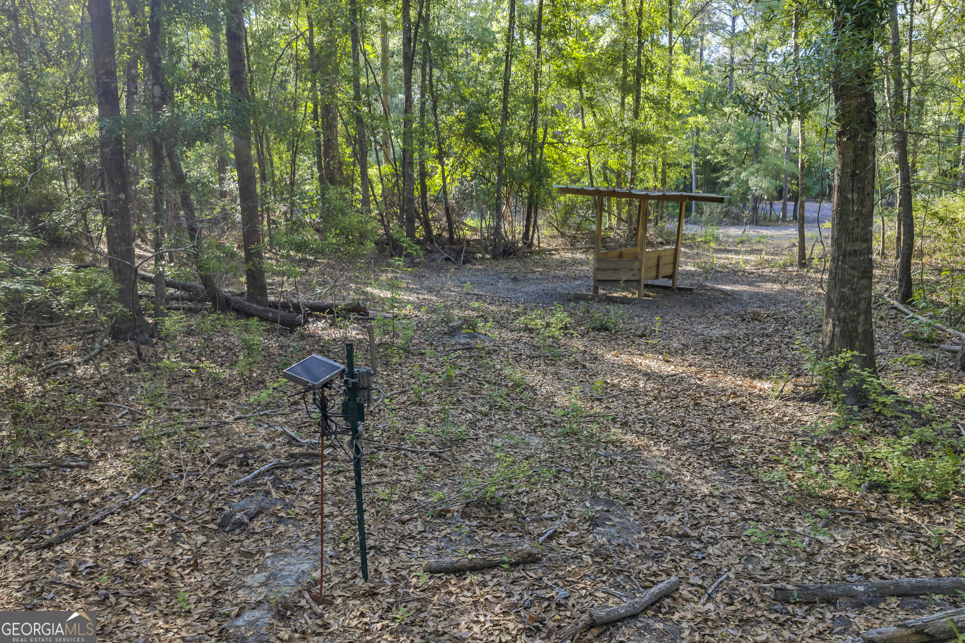 2126 W Oakridge Drive Albany GA 31721