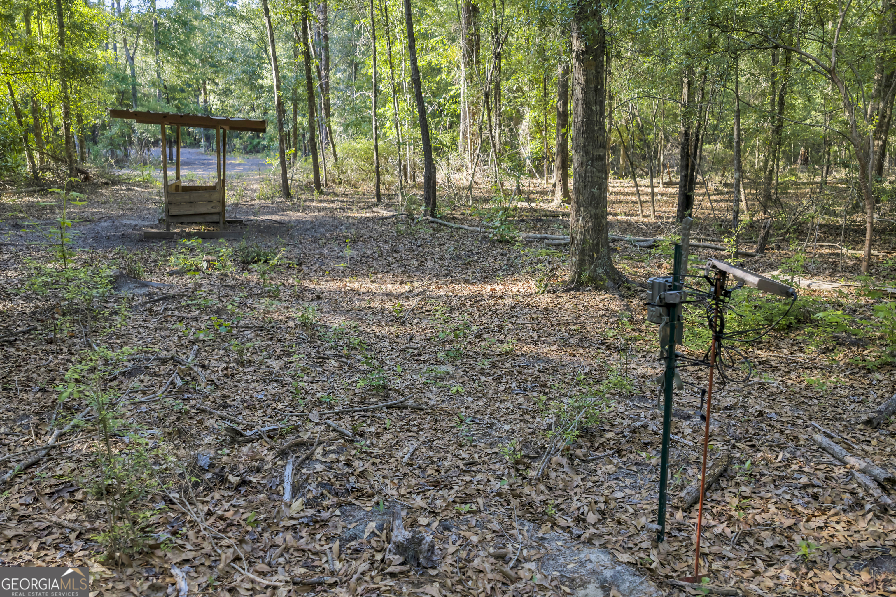 2126 W Oakridge Drive Albany GA 31721