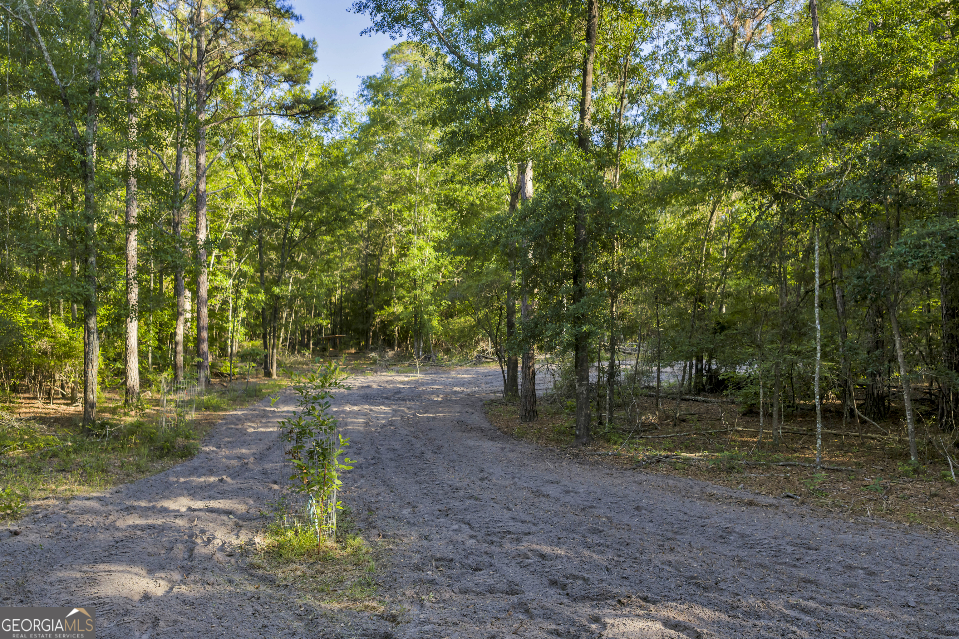 2126 W Oakridge Drive Albany GA 31721