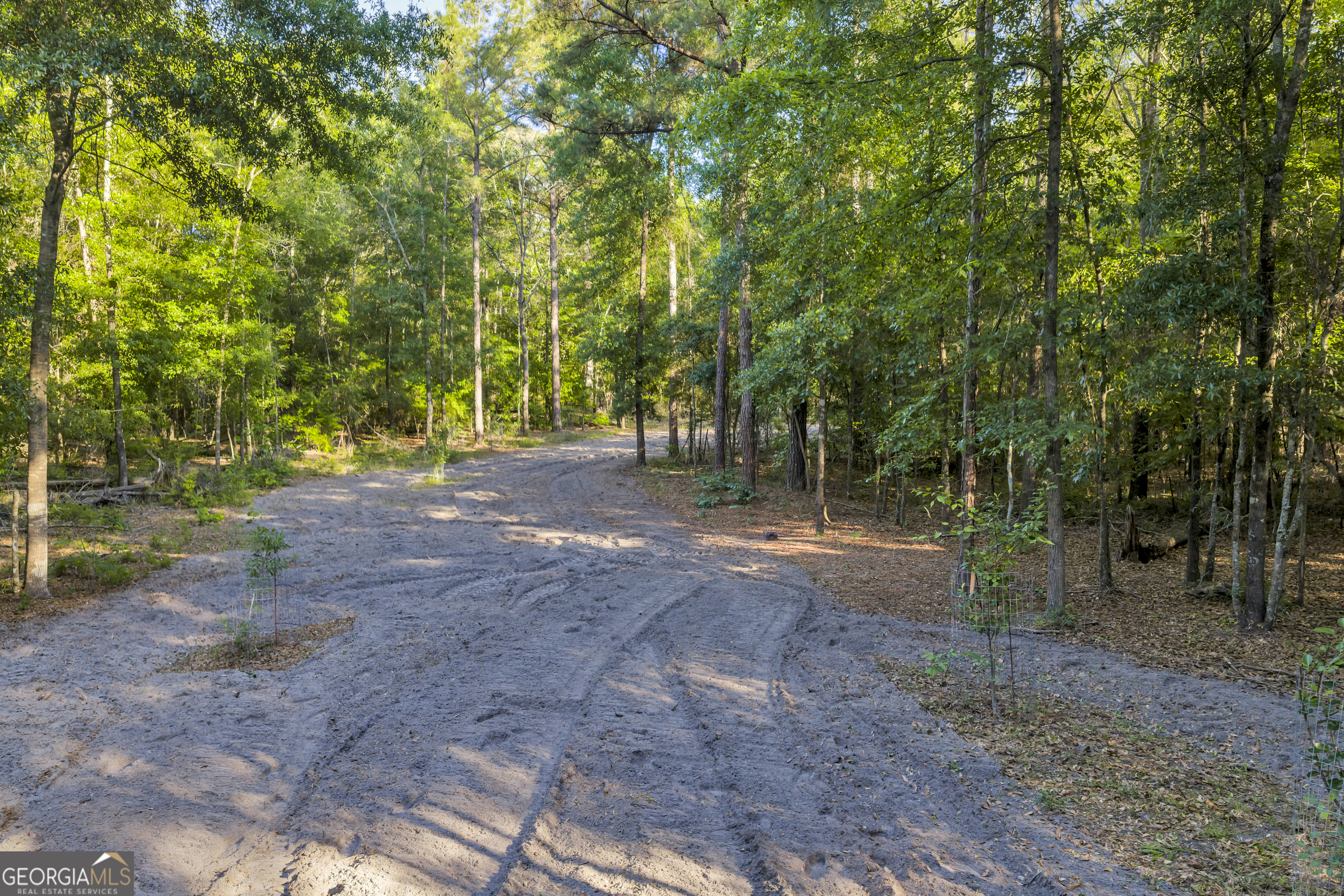 2126 W Oakridge Drive Albany GA 31721