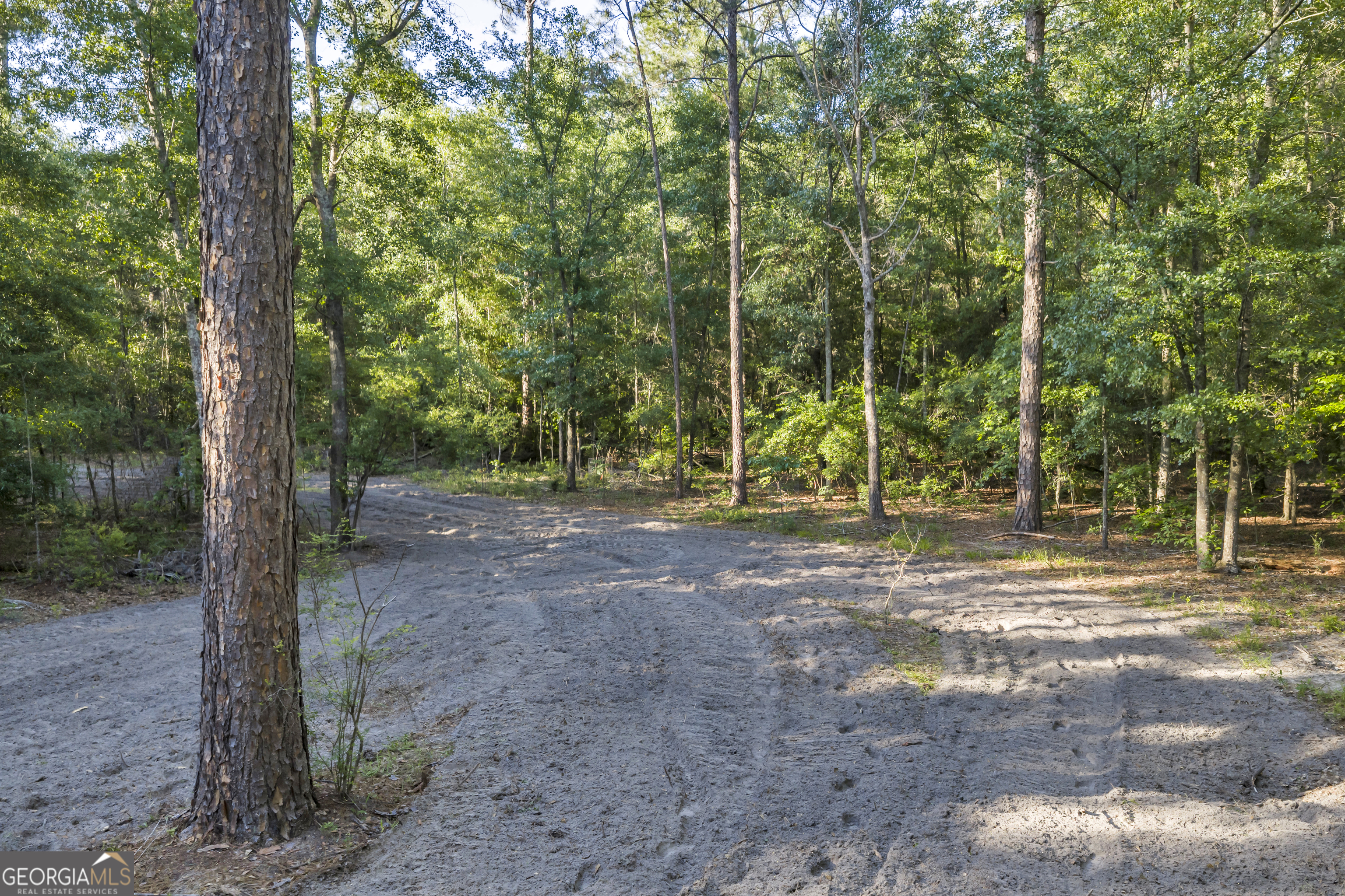 2126 W Oakridge Drive Albany GA 31721
