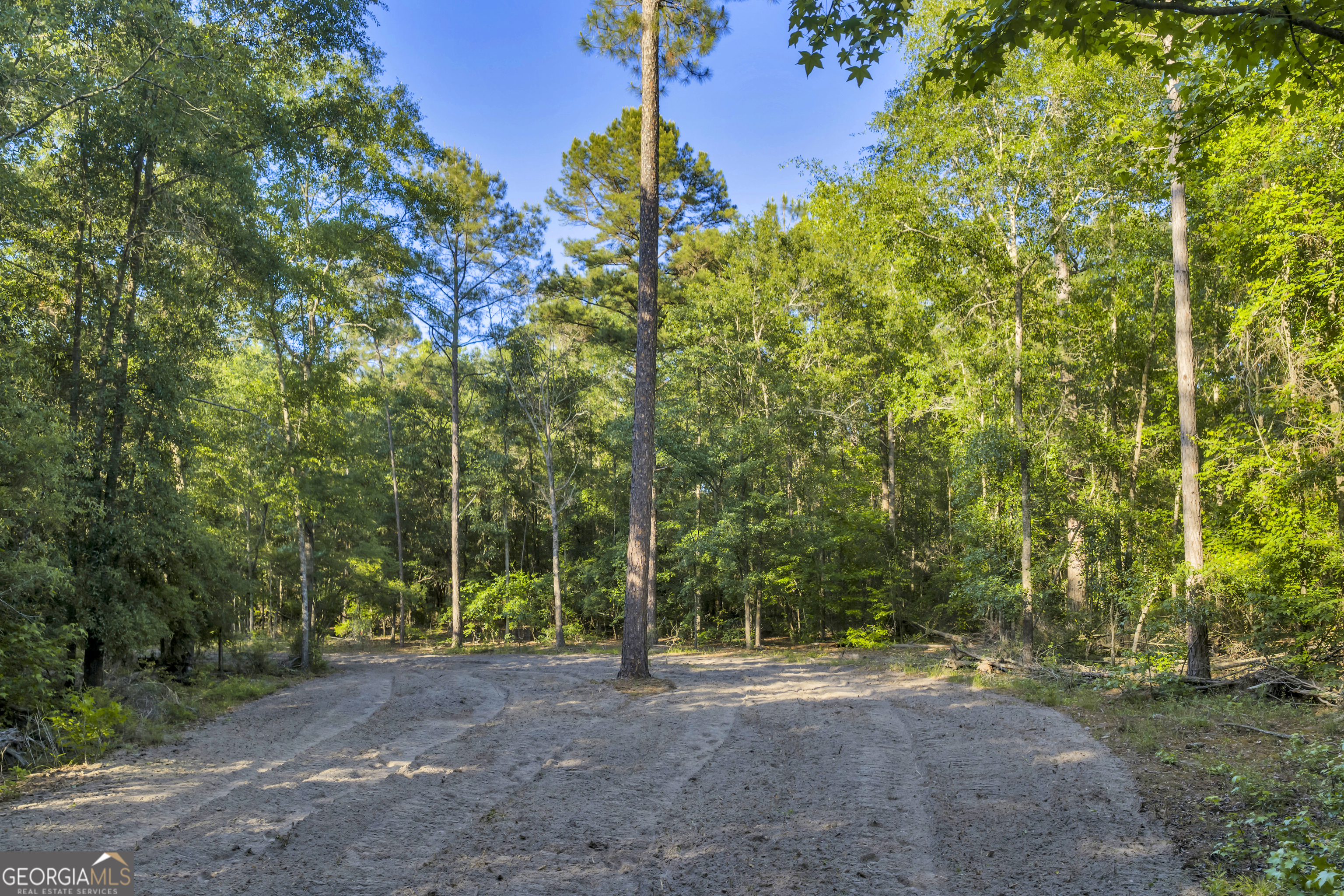 2126 W Oakridge Drive Albany GA 31721