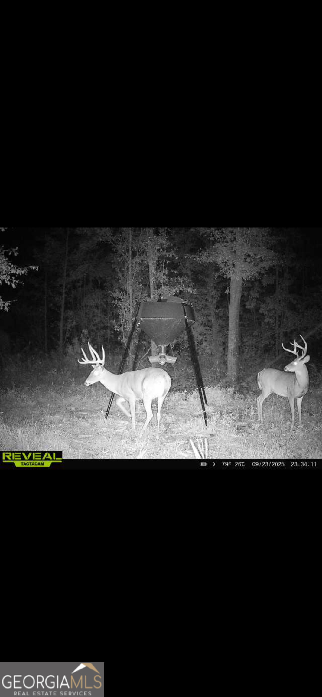 2126 W Oakridge Drive Albany GA 31721