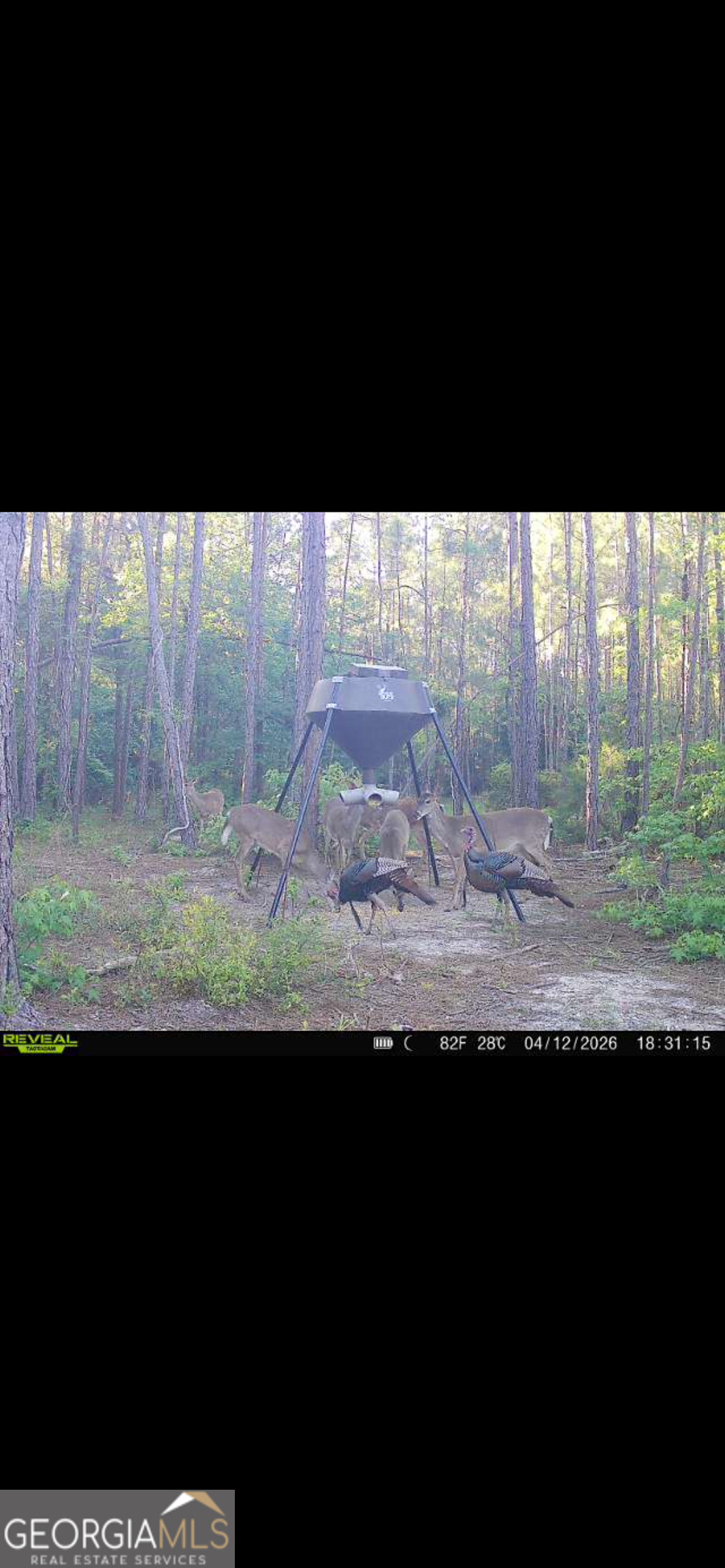 2126 W Oakridge Drive Albany GA 31721