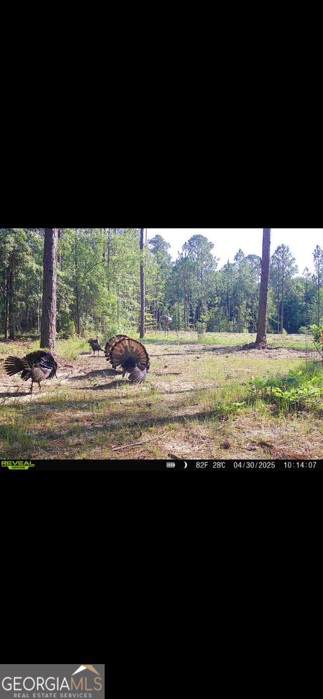 2126 W Oakridge Drive Albany GA 31721