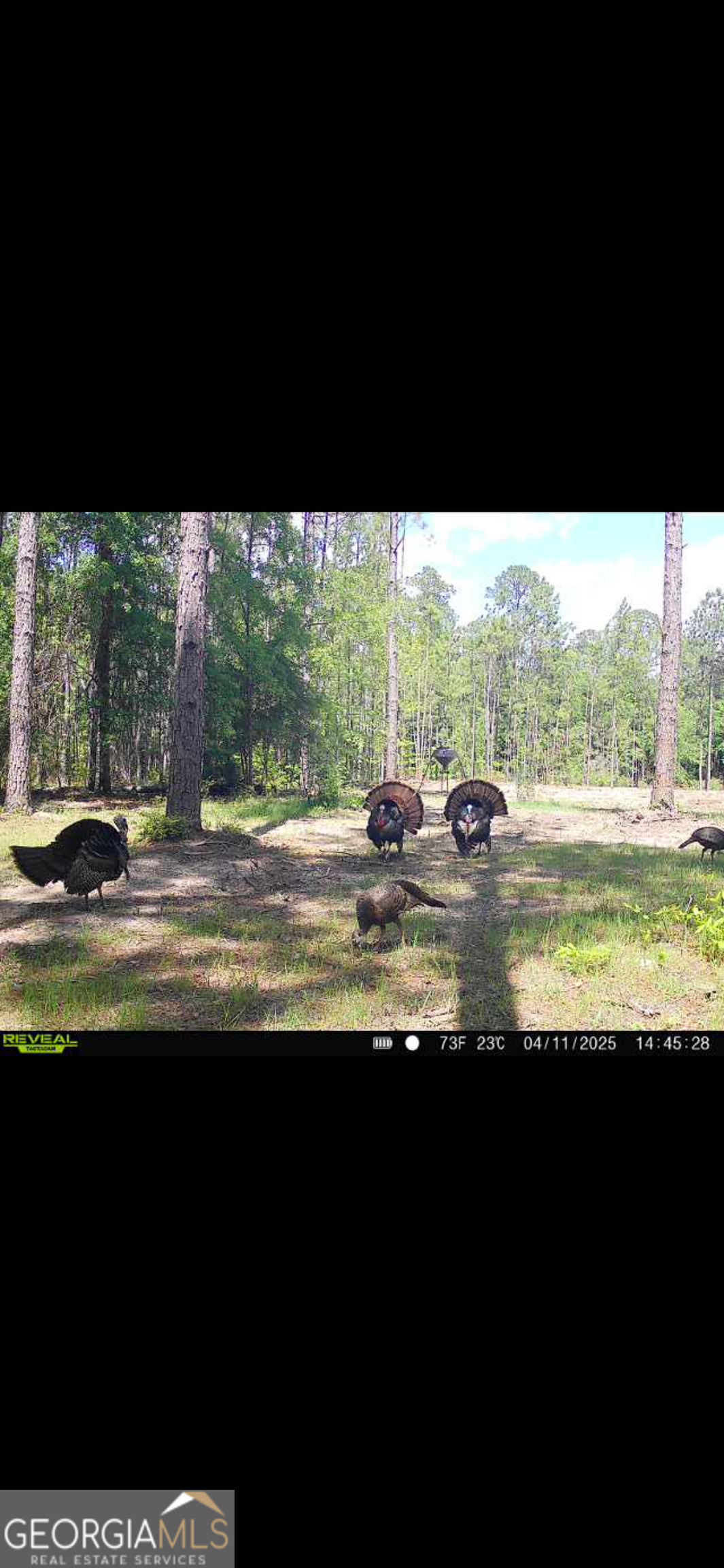 2126 W Oakridge Drive Albany GA 31721