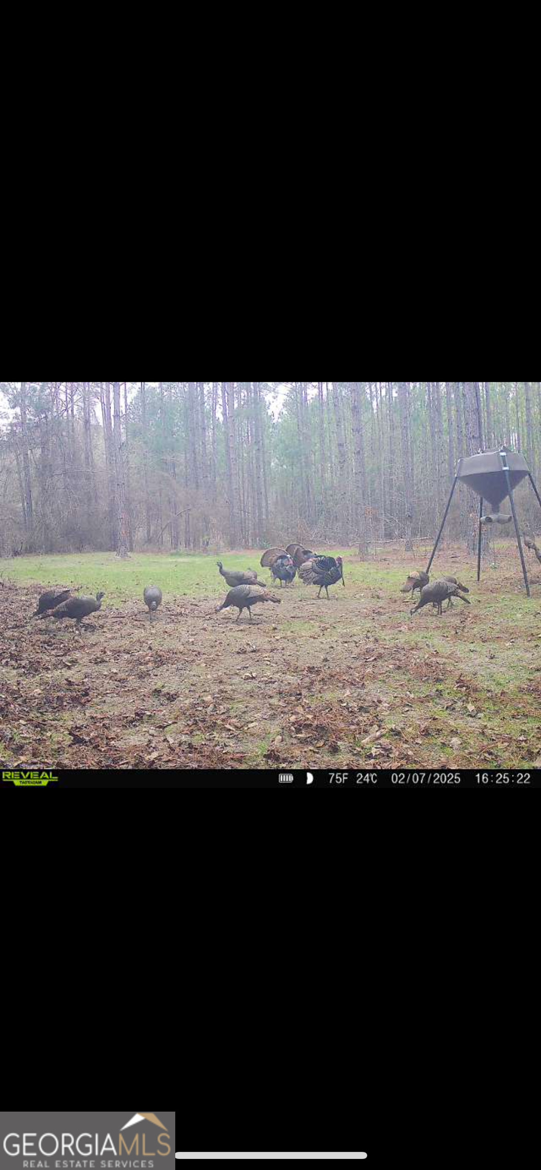 2126 W Oakridge Drive Albany GA 31721