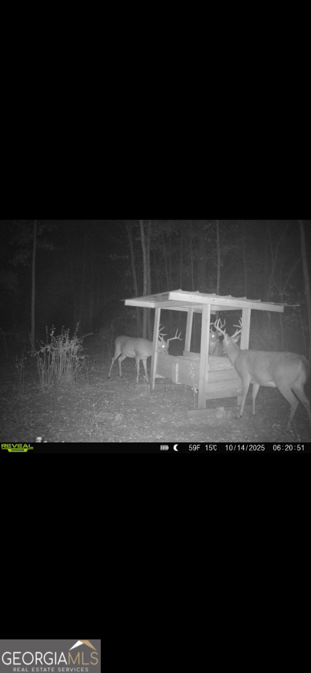 2126 W Oakridge Drive Albany GA 31721